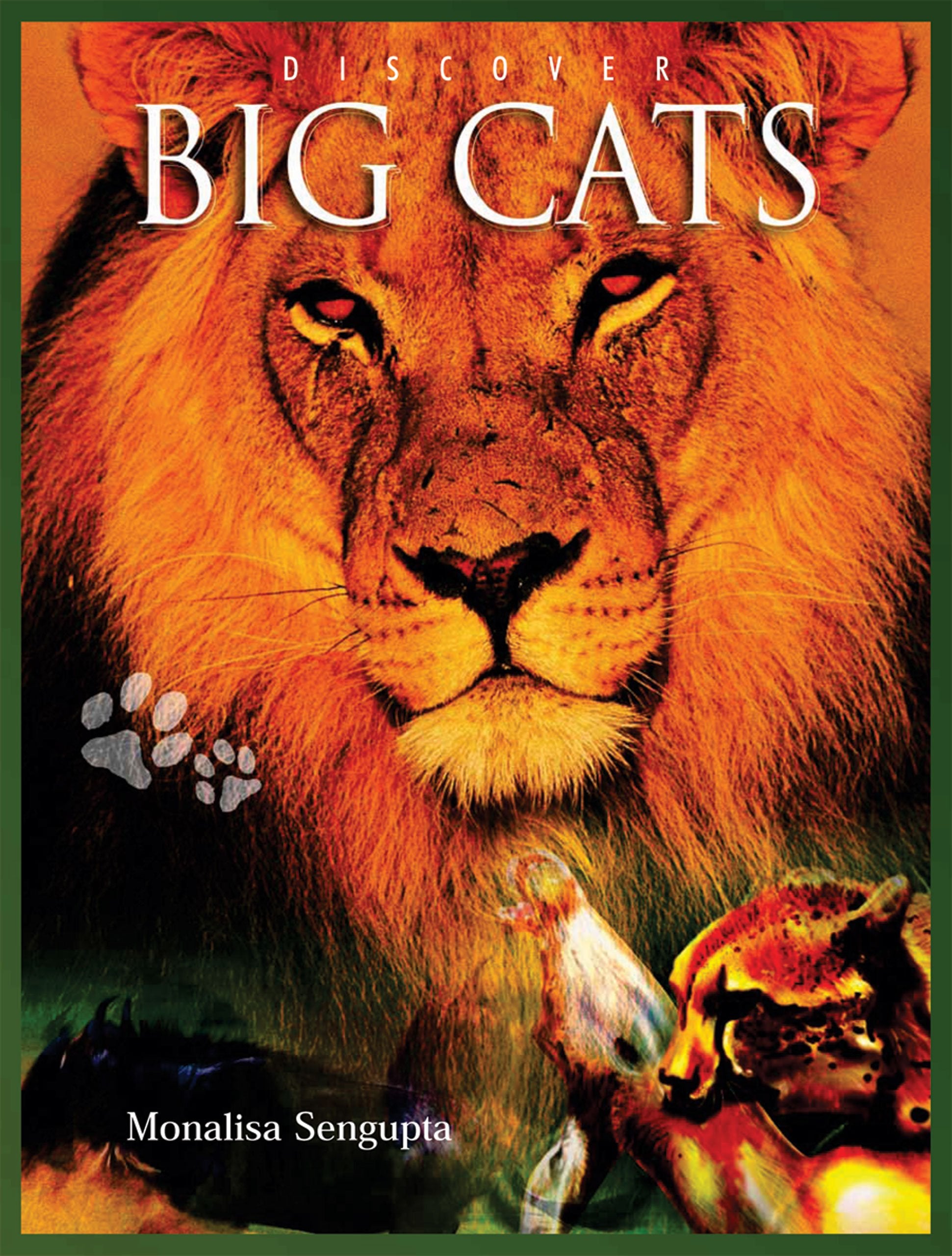 Discover Big Cats (Discover Animals),Used
