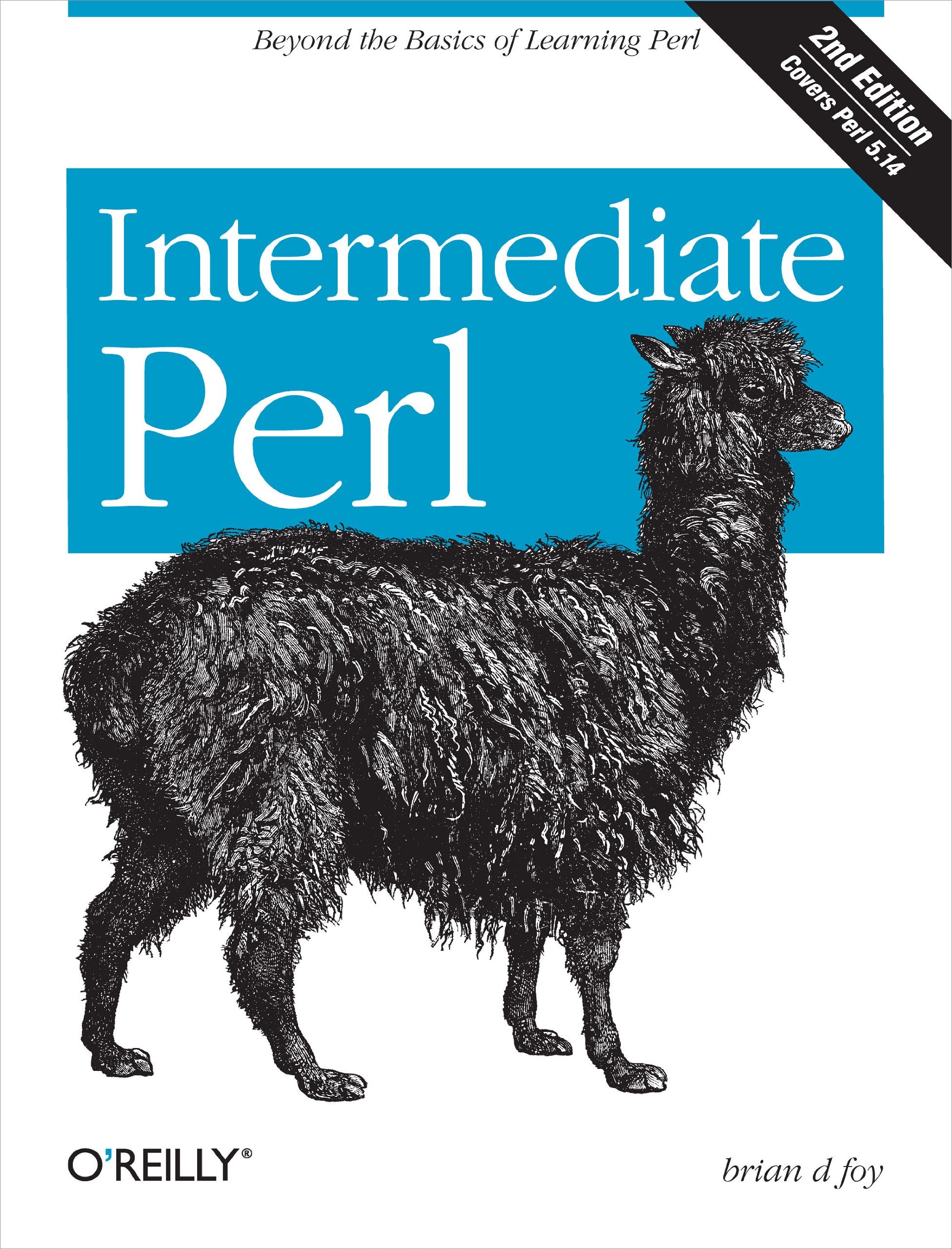 Intermediate Perl: Beyond The Basics of Learning Perl,New
