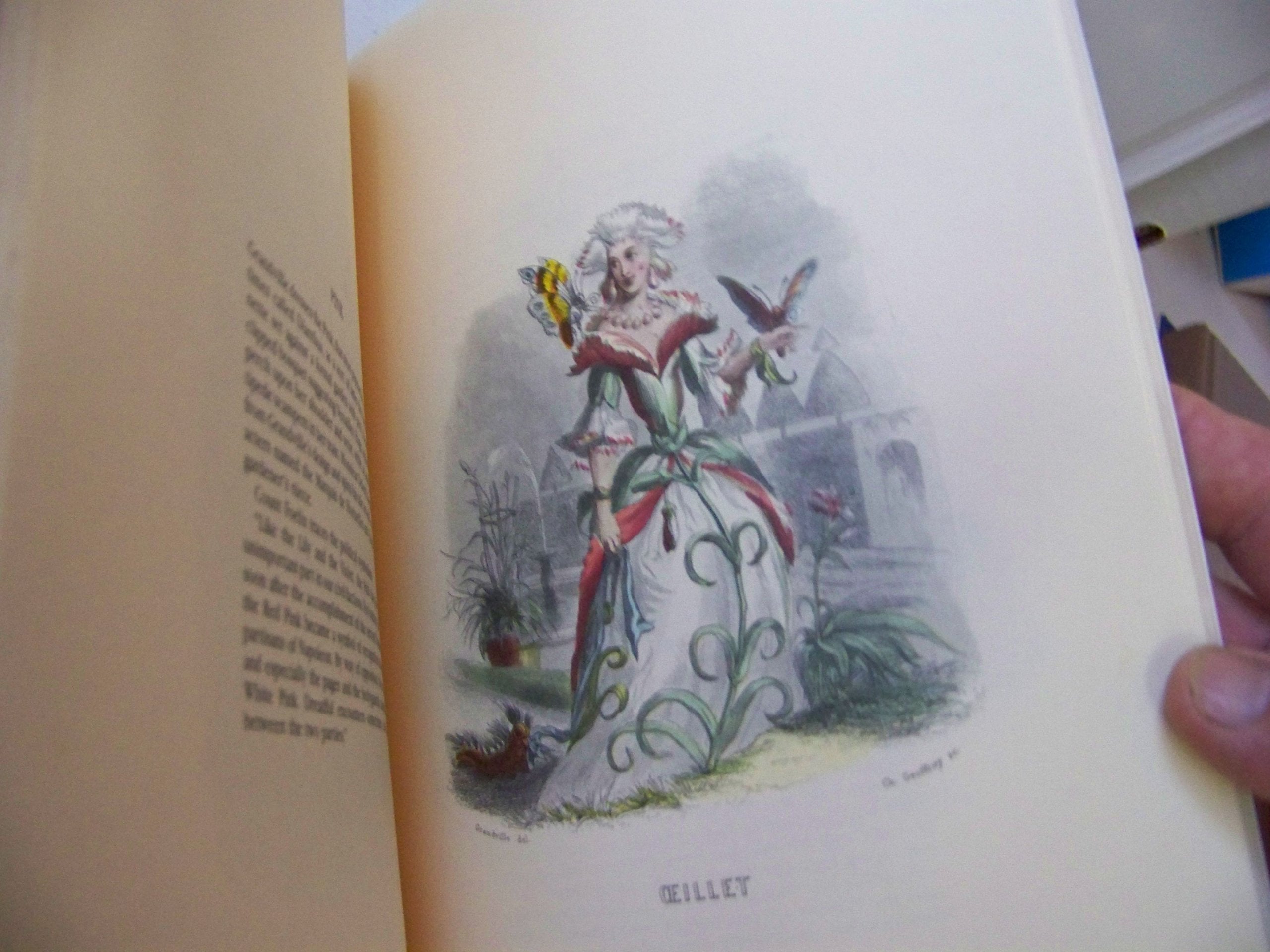 The Court of Flora,Used