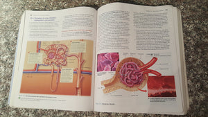 Human Biology: Concepts and Current Issues,Used