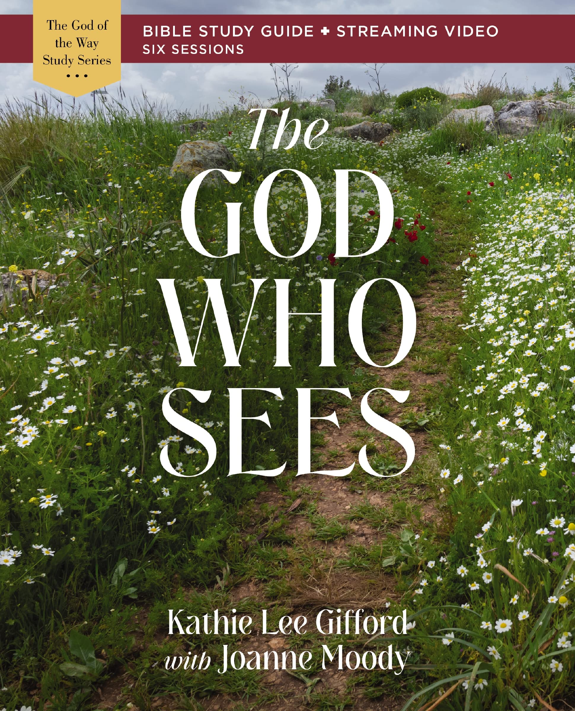 The God Who Sees Bible Study Guide Plus Streaming Video (God Of The Way),Used