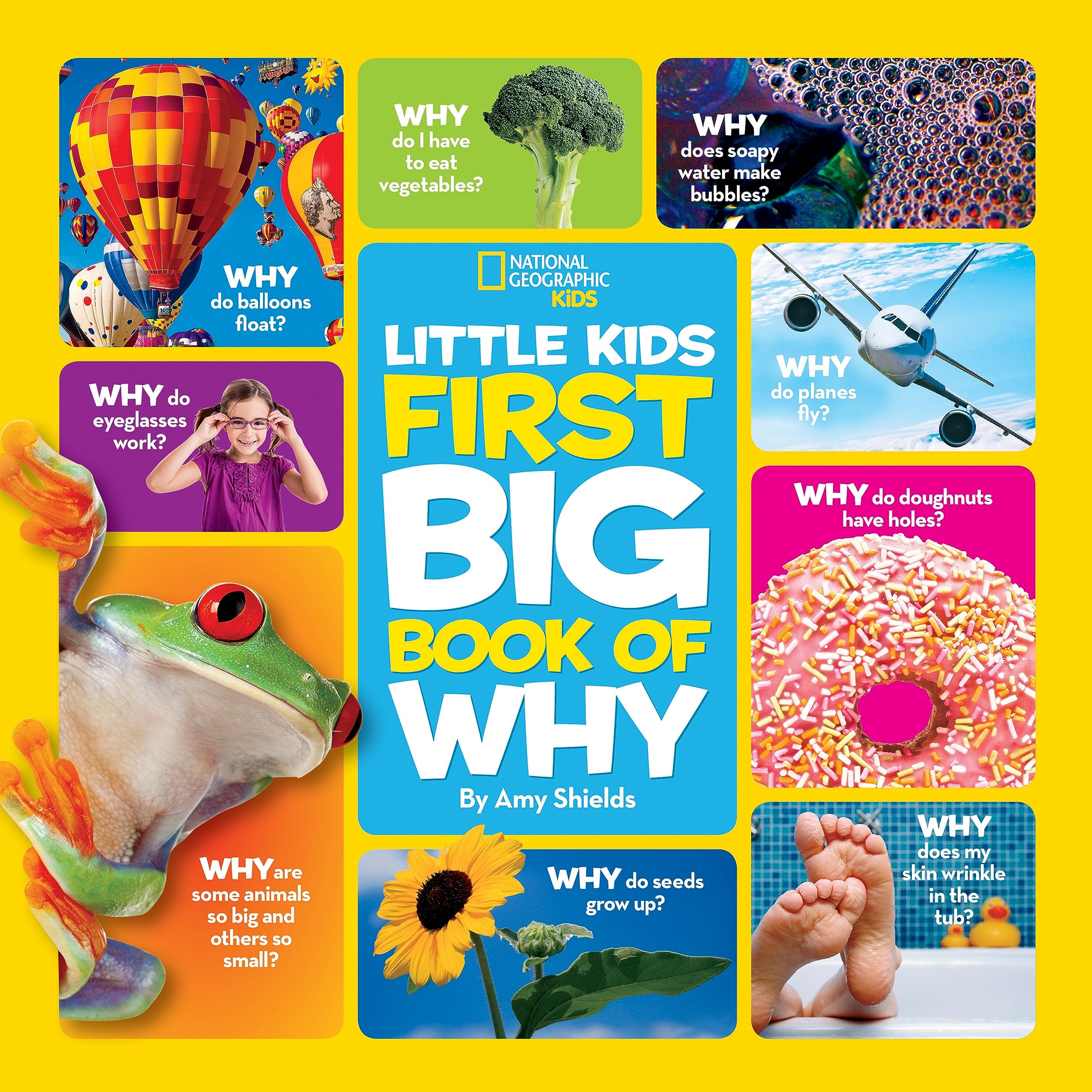 Little Kids First Big Book of Why (National Geographic Little Kids First Big Books),Used