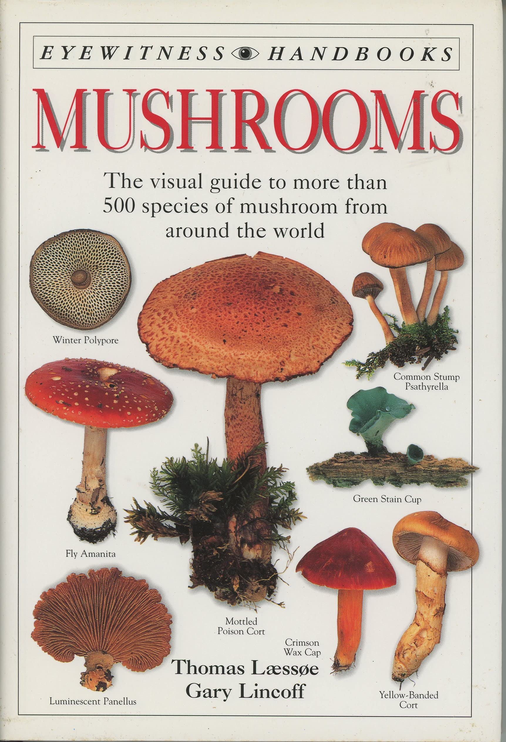 Mushrooms (Eyewitness Handbooks) (Flexible Binding),New