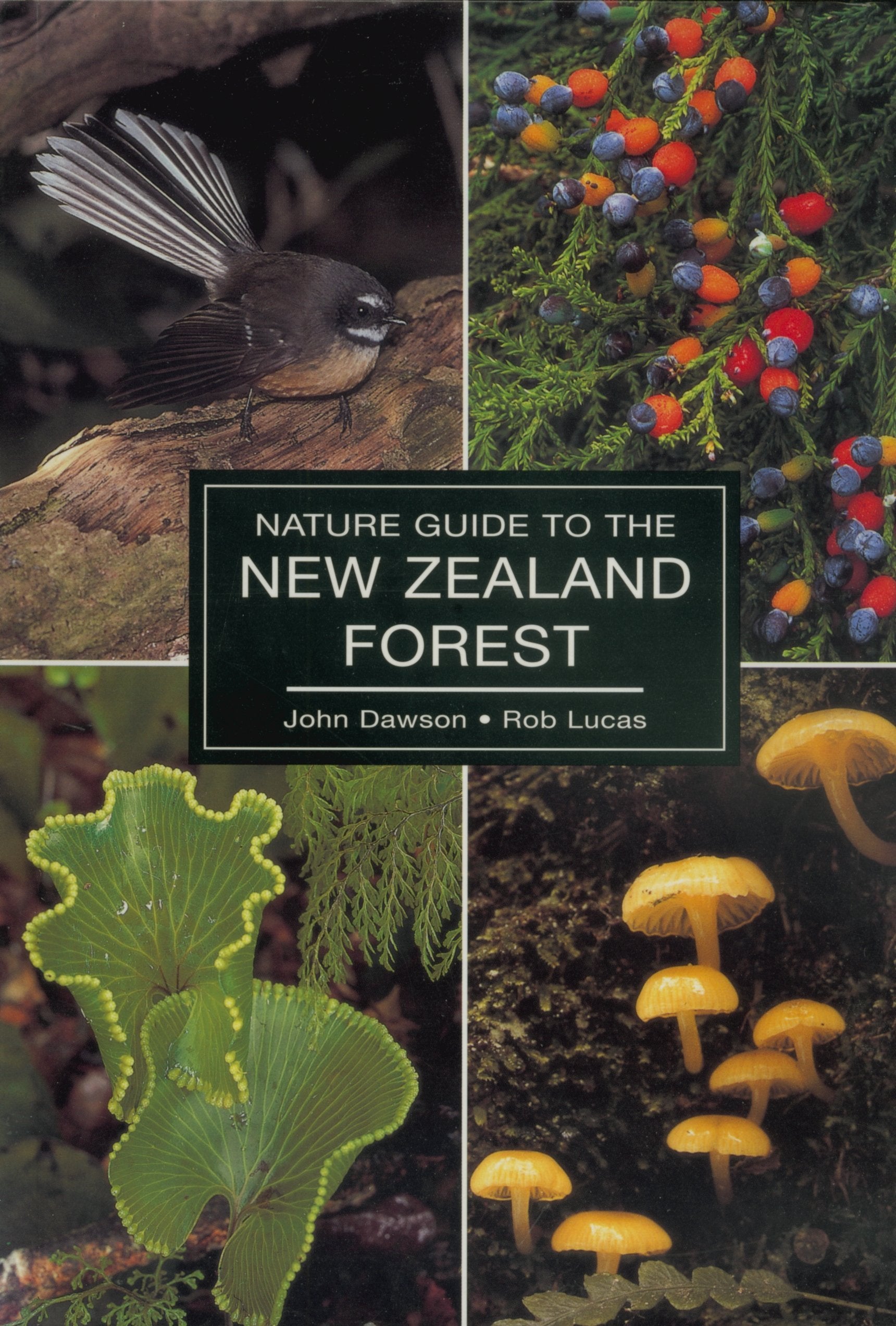 Nature Guide to the New Zealand Forest,Used