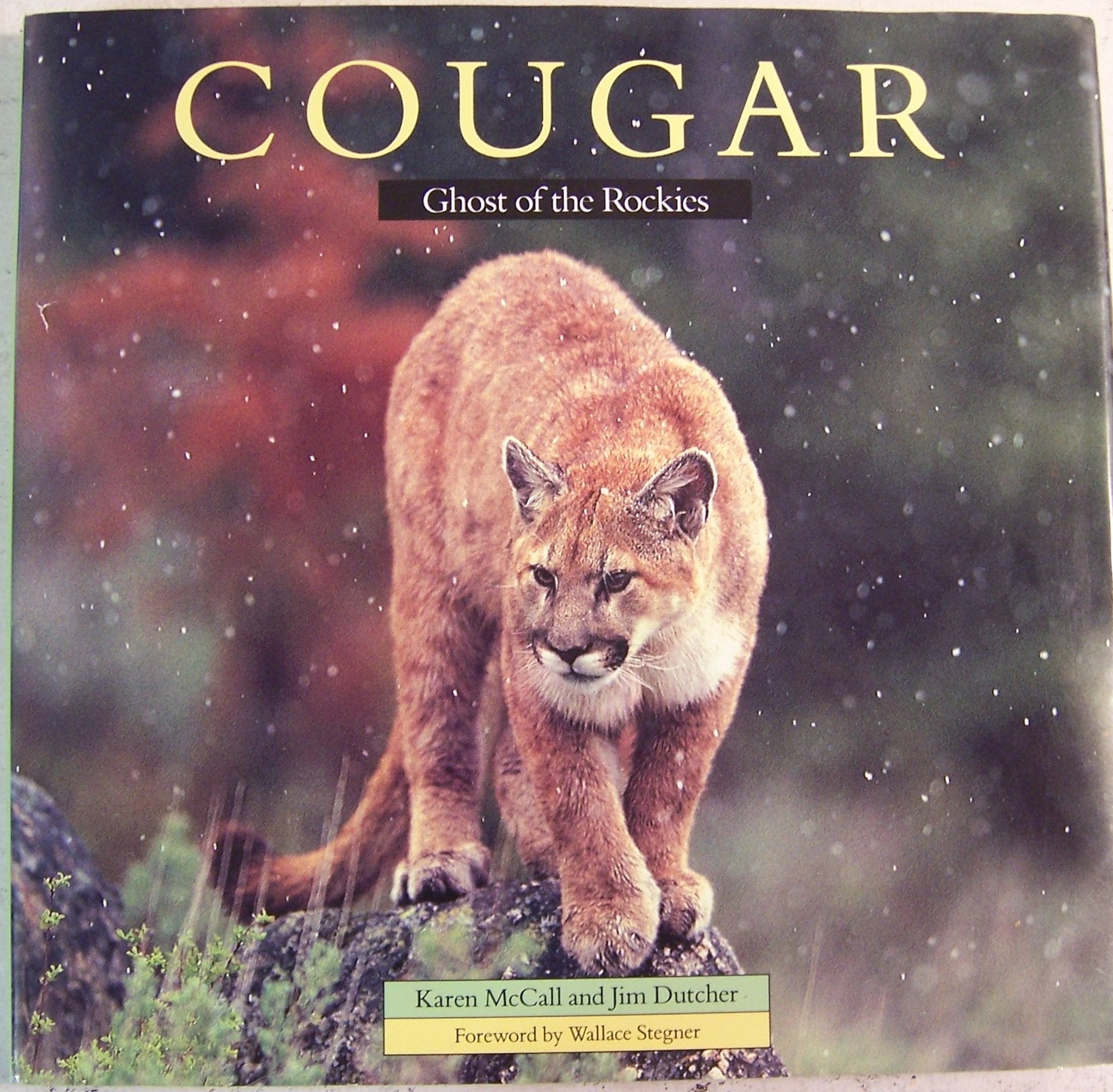 Cougar: Ghost of the Rockies,New