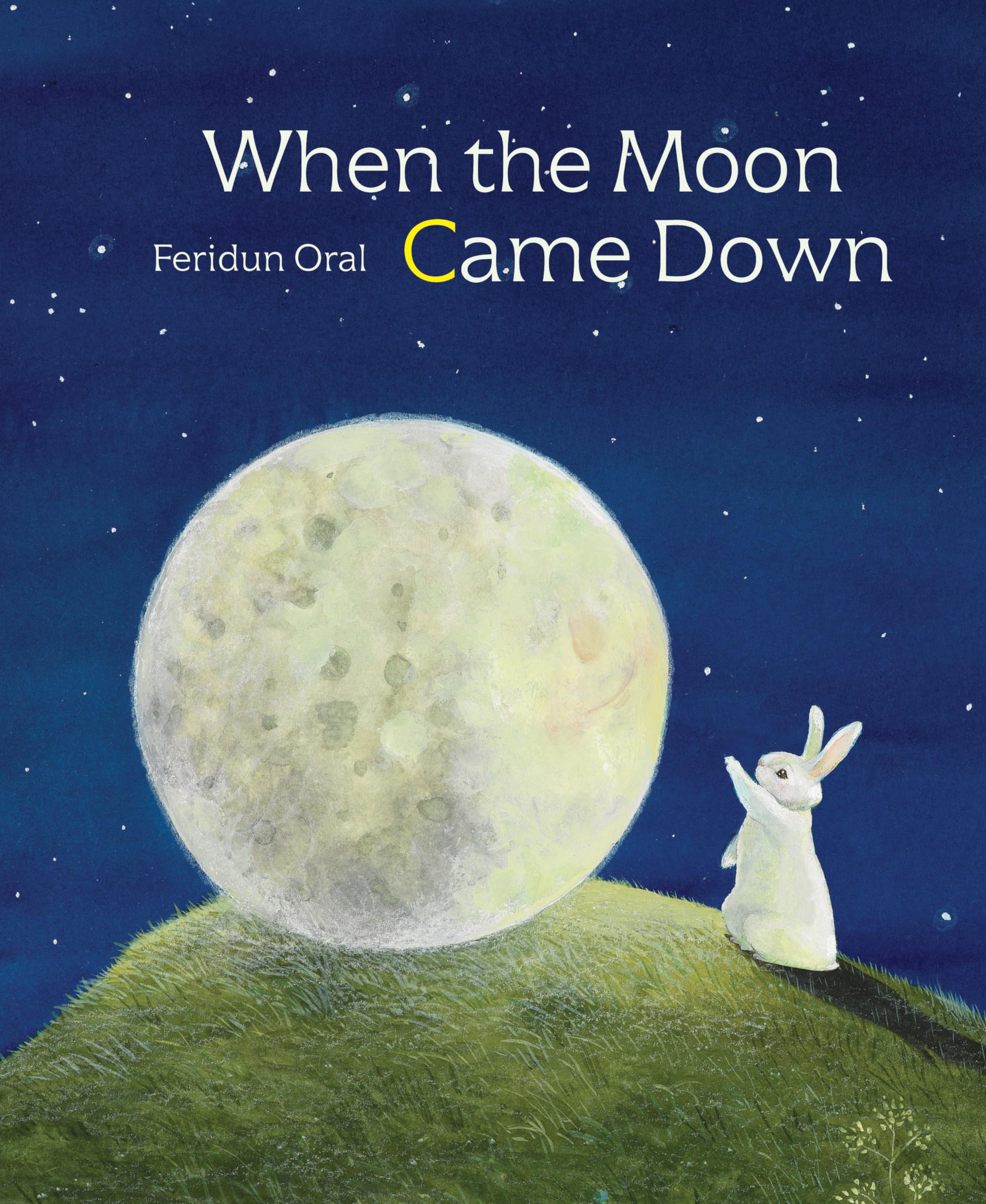 When the Moon Came Down,Used