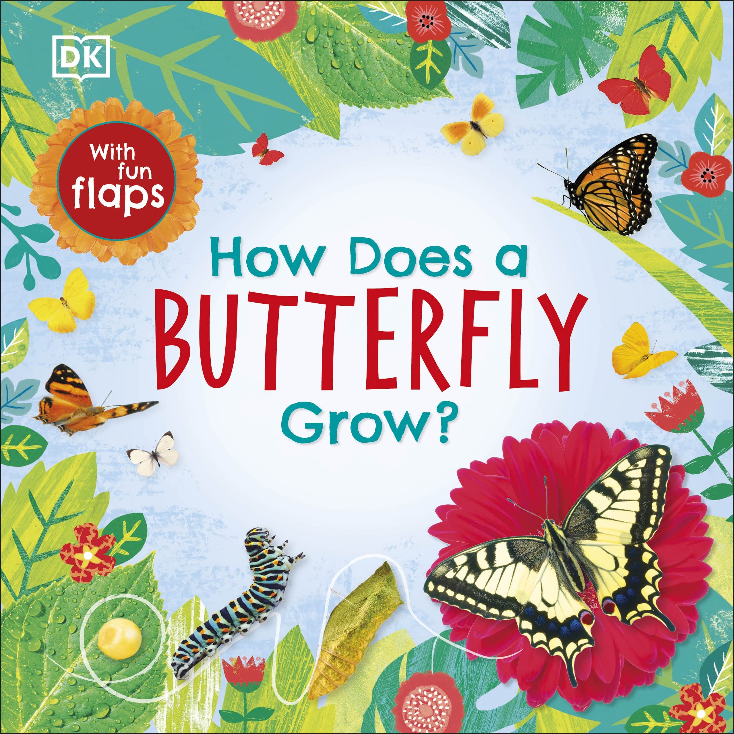 How Does A Butterfly Grow? (Life Cycle Board Books)