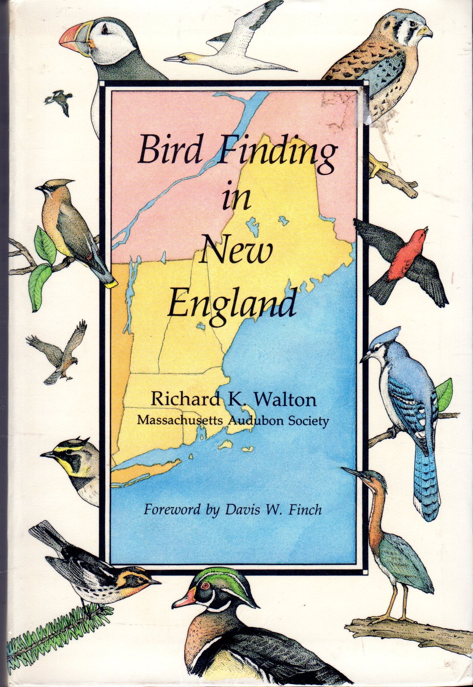 Bird Finding in New England (Godine Guide, No 5),Used
