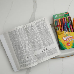 Icb, Gift And Award Bible, Softcover, Purple: International Children'S Bible