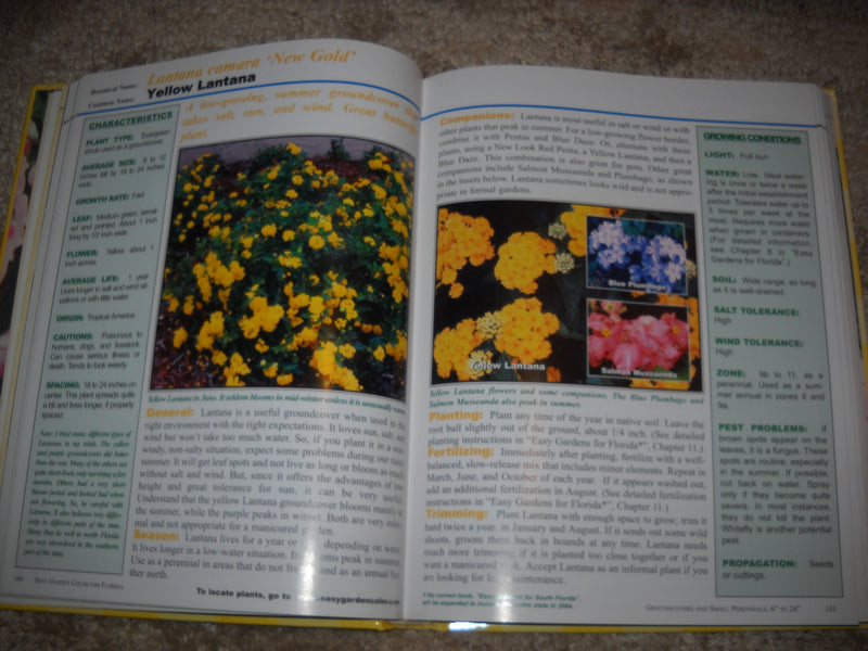 Best Garden Color for Florida,New