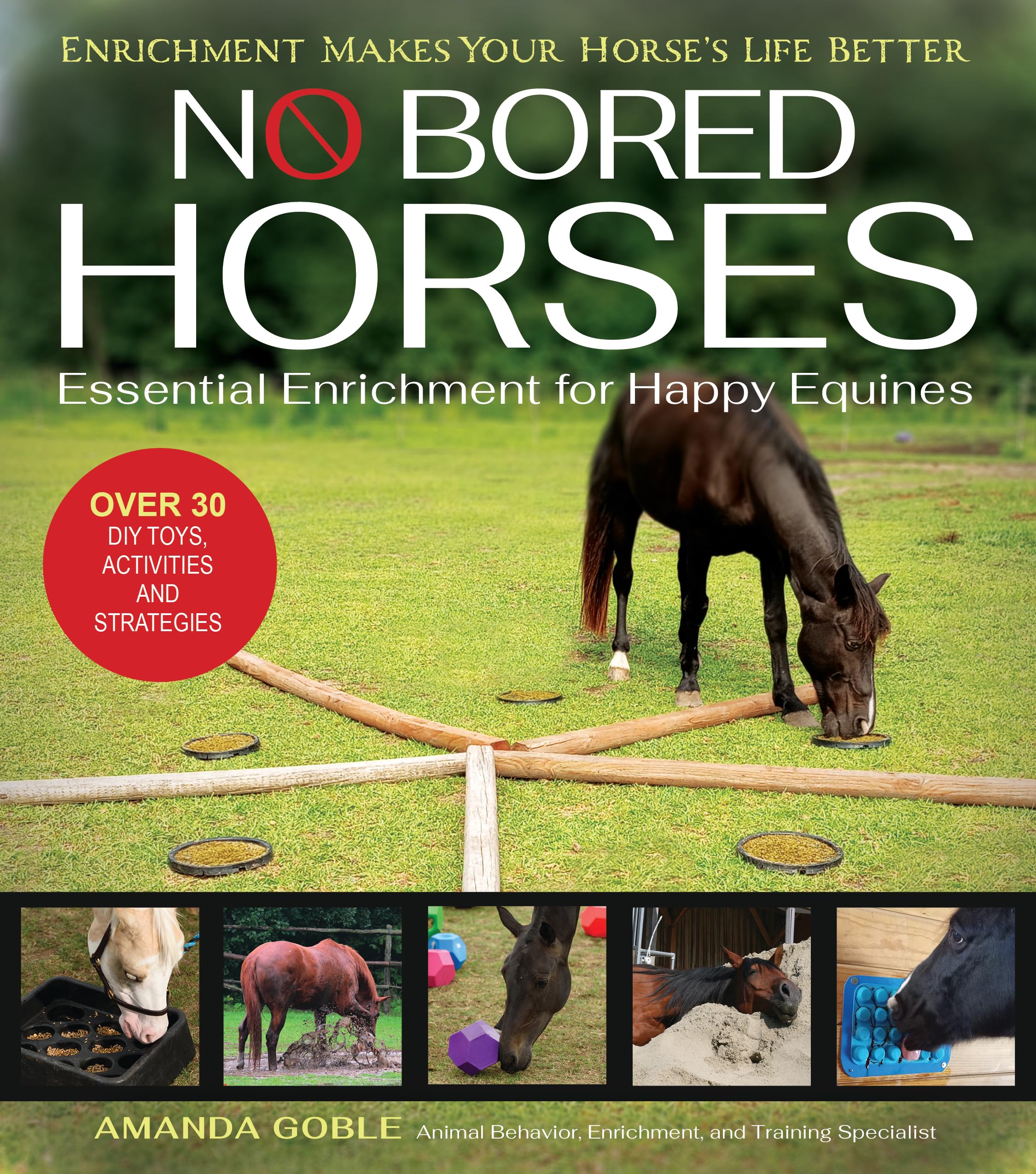No Bored Horses: Essential Enrichment For Happy Equines