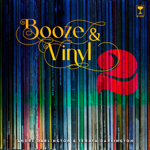 Booze & Vinyl Vol. 2: 70 More Albums + 140 New Recipes,New