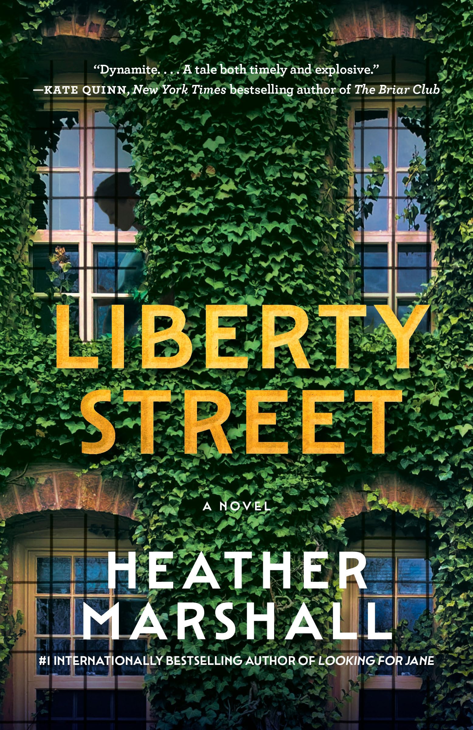Liberty Street: A Novel