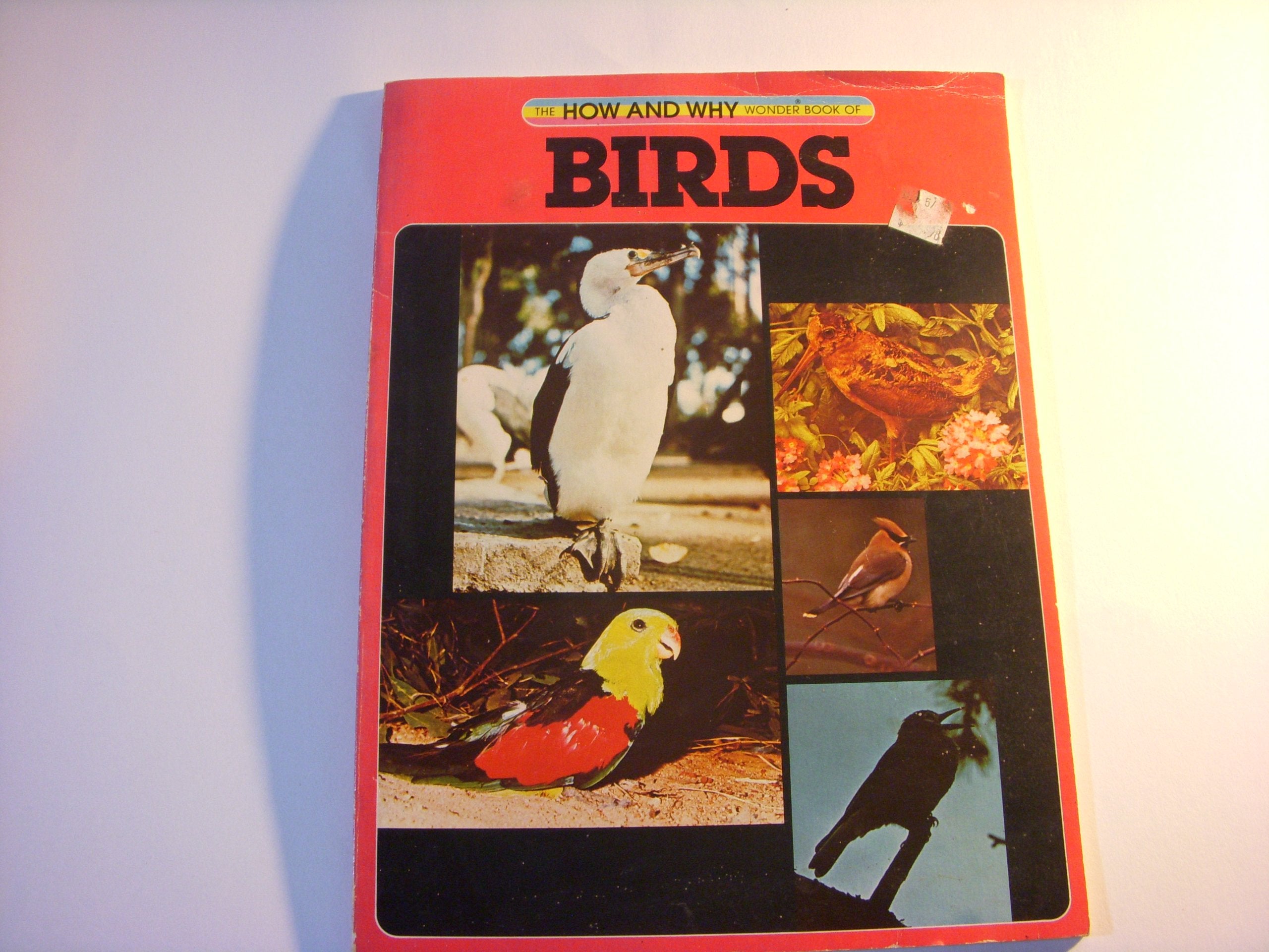 Birds (How and Why Books),Used