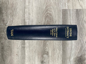 Divine Intimacy: Meditations On The Interior Life For Every Day Of The Liturgical Year,New