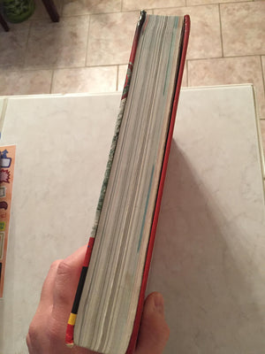 Holt McDougal Larson Algebra 1,New