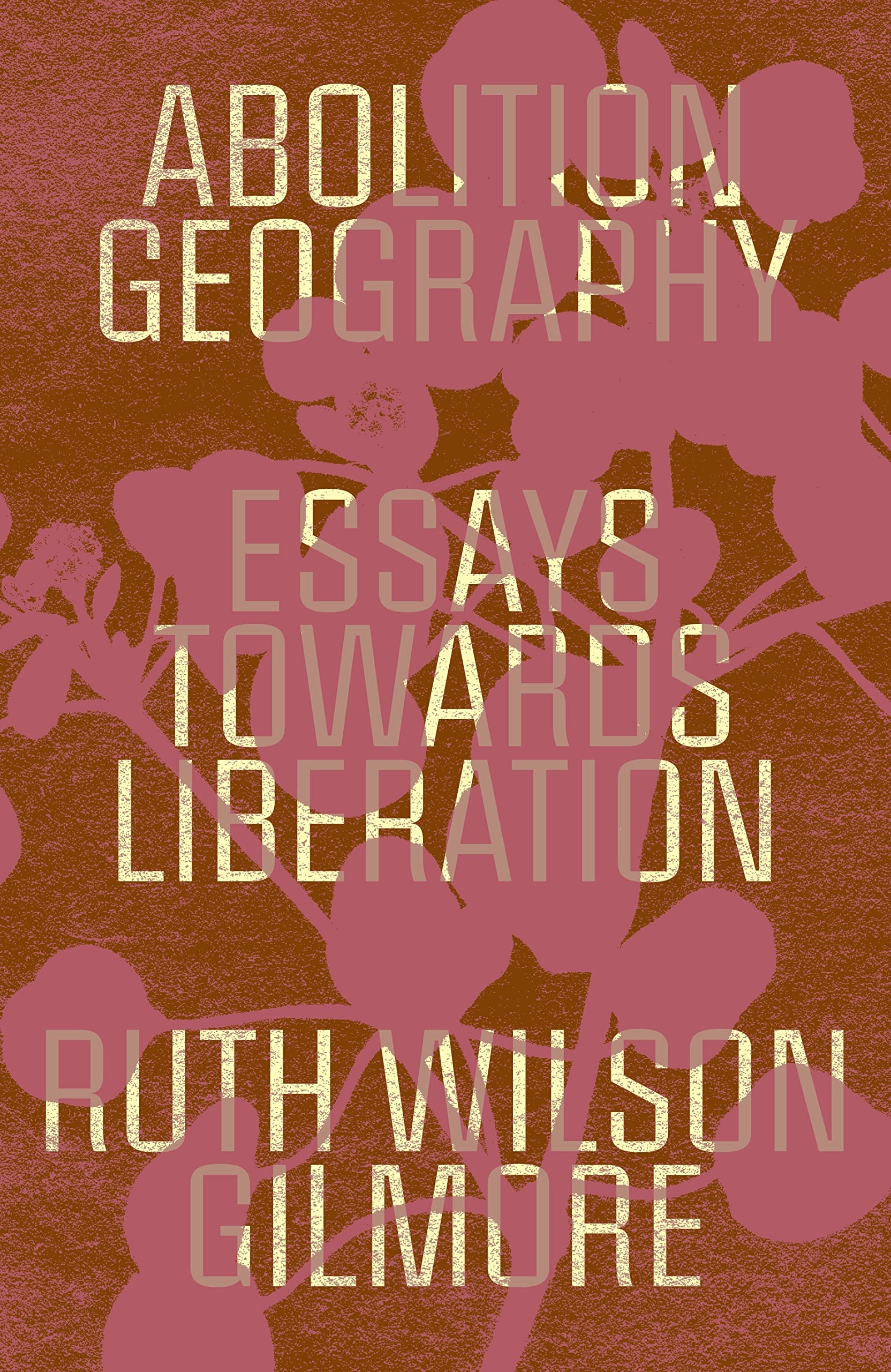 Abolition Geography: Essays Towards Liberation,Used