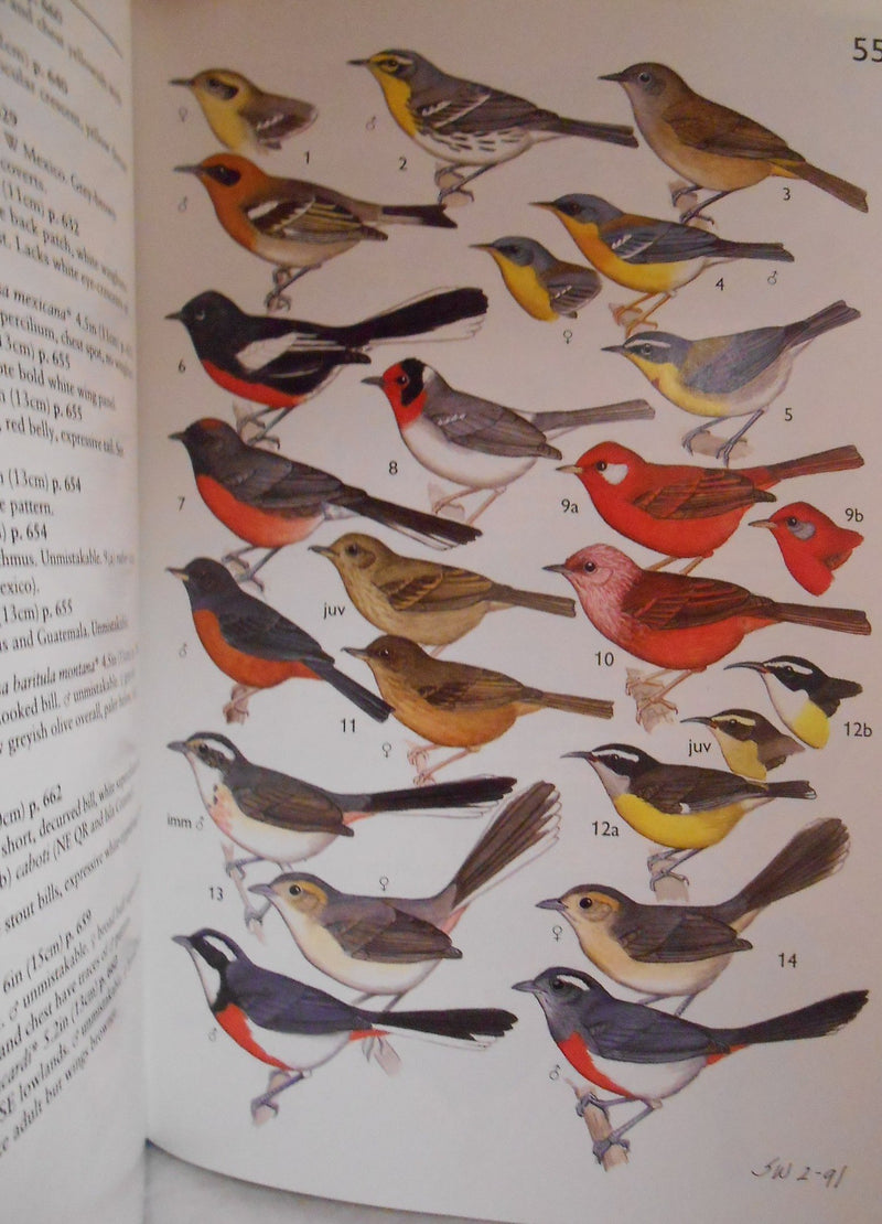 A Guide to the Birds of Mexico and Northern Central America,Used