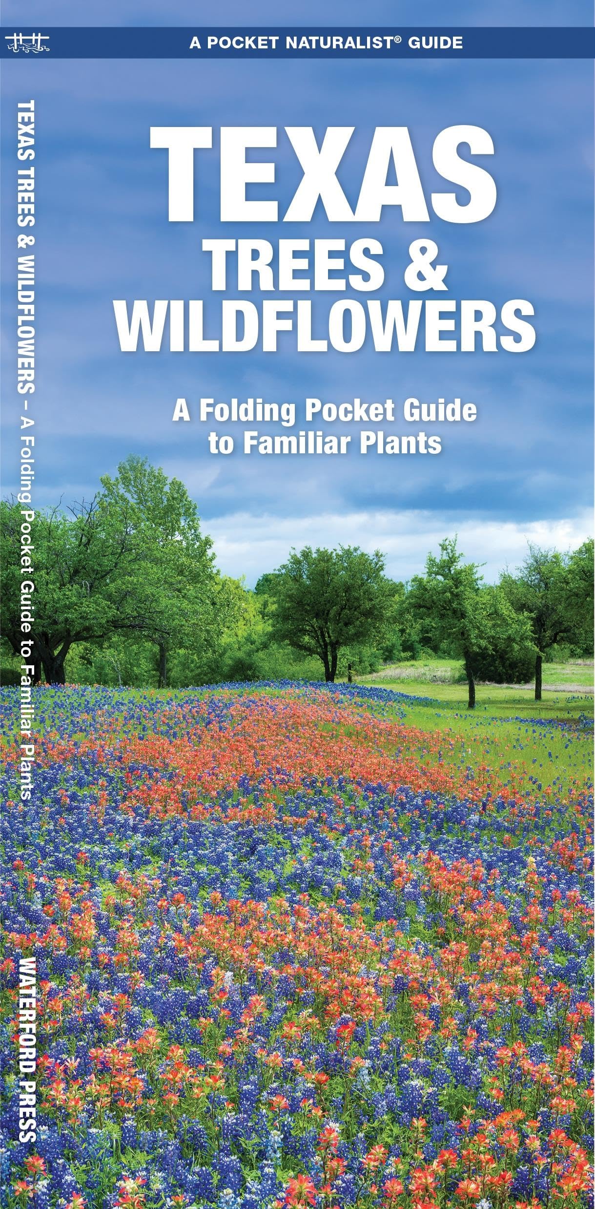 Texas Trees & Wildflowers: A Folding Pocket Guide to Familiar Plants (Wildlife and Nature Identification),Used