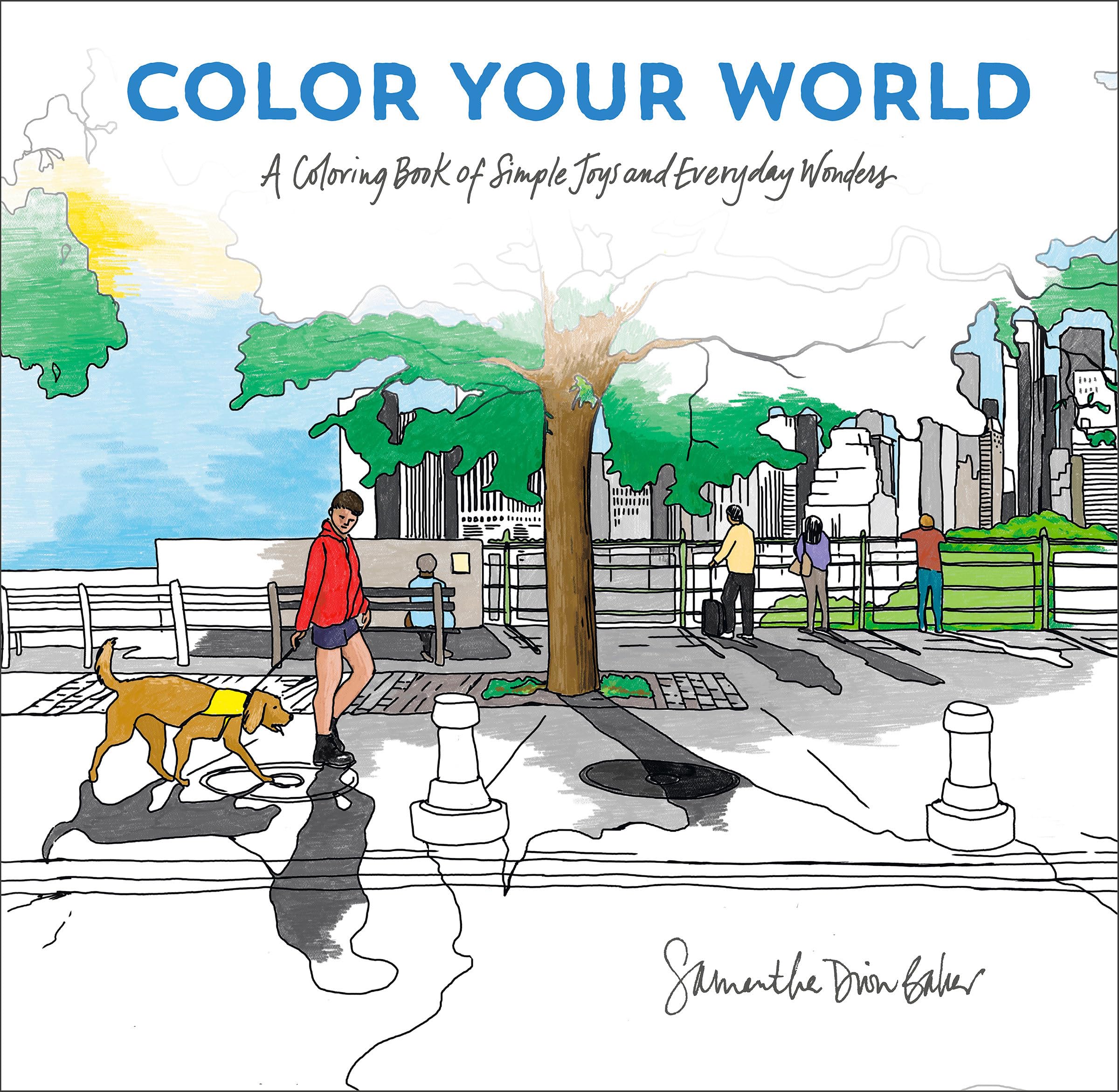 Color Your World: A Coloring Book Of Simple Joys And Everyday Wonders