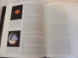 Cosmos,New