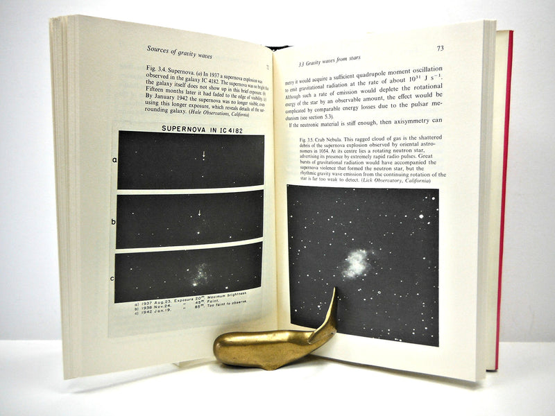 The Search for Gravity Waves,New