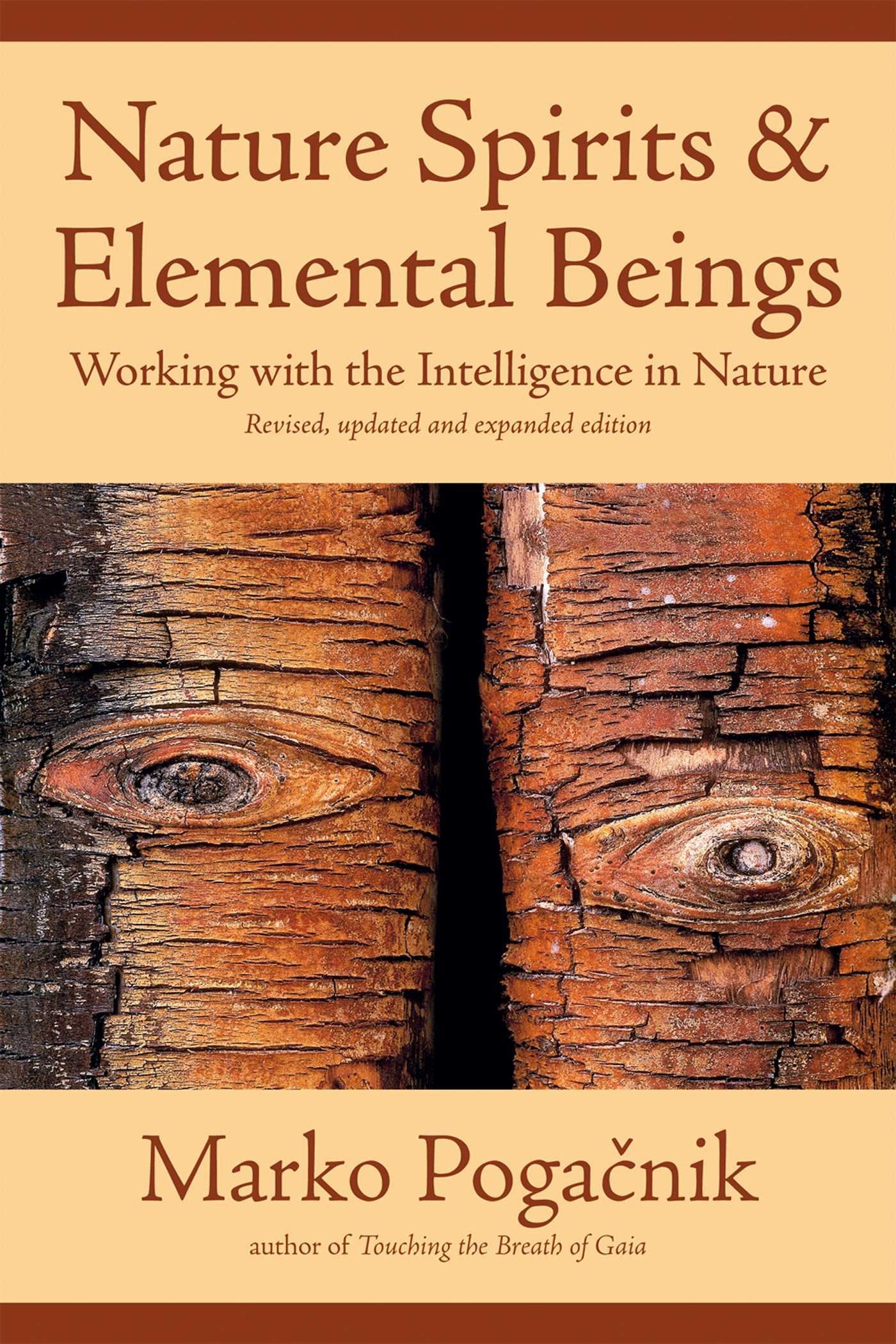 Nature Spirits & Elemental Beings: Working with the Intelligence in Nature,Used