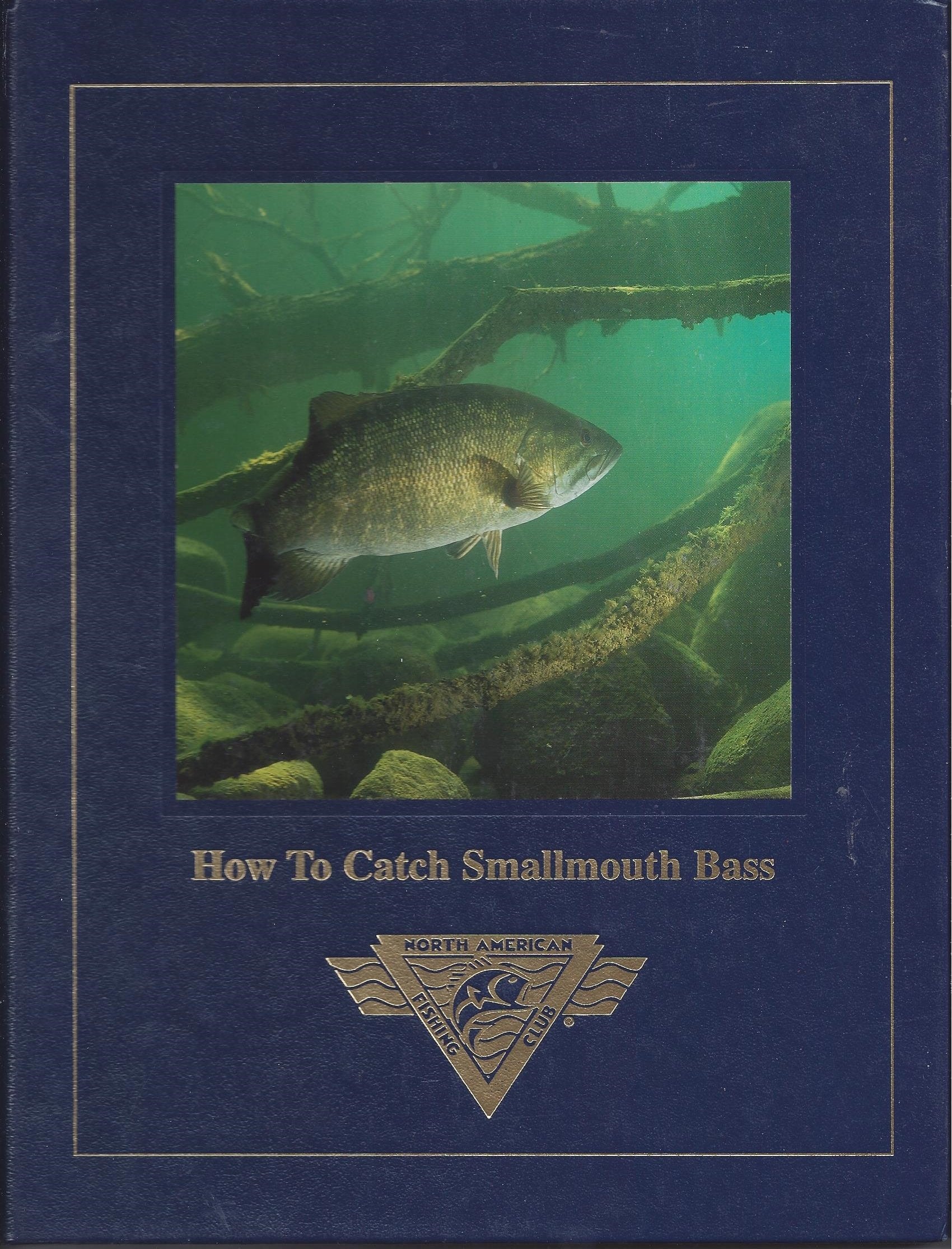 How to Catch Smallmouth Bass,Used