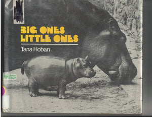 Big ones, little ones,Used