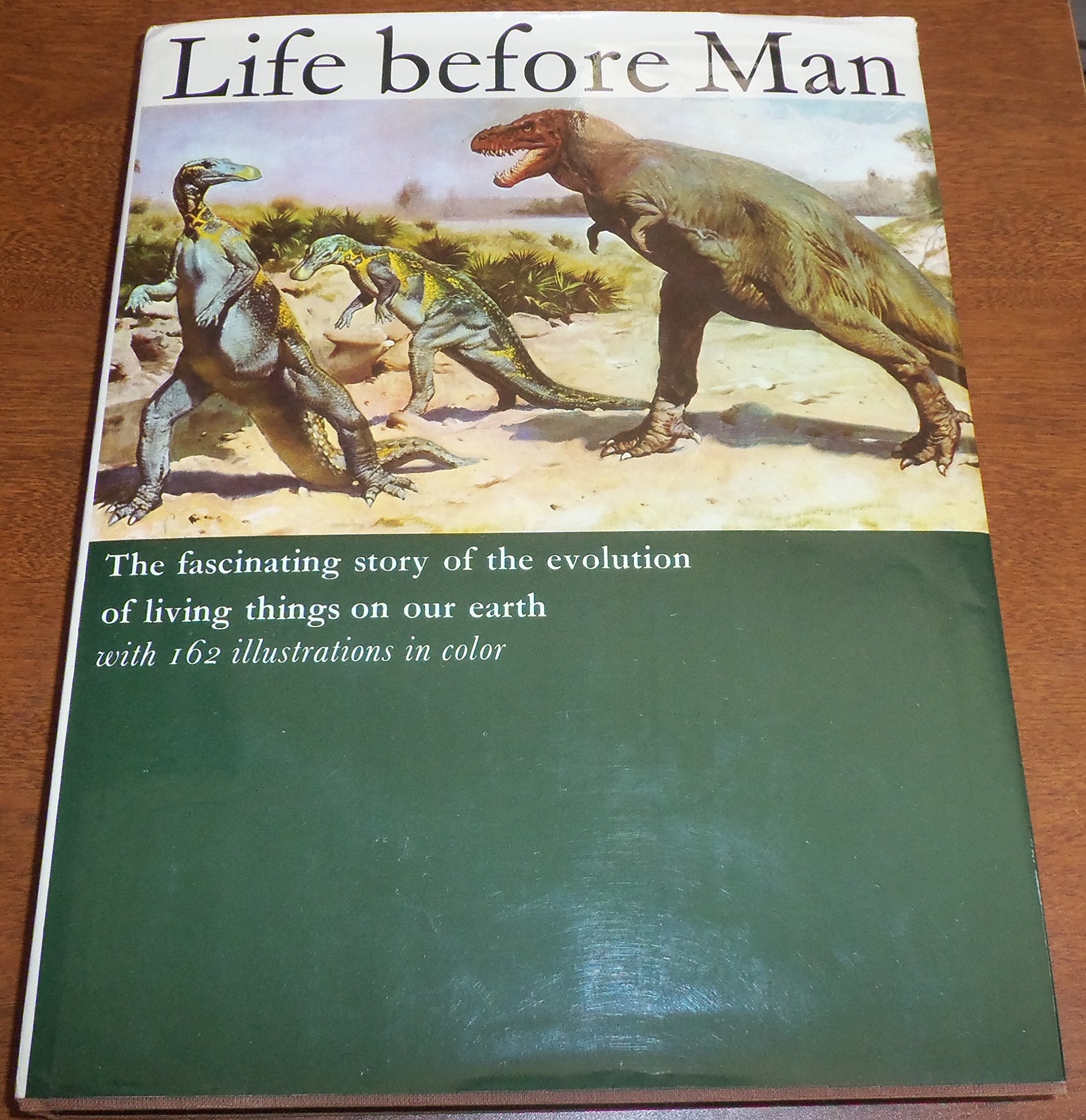 Life Before Man,Used