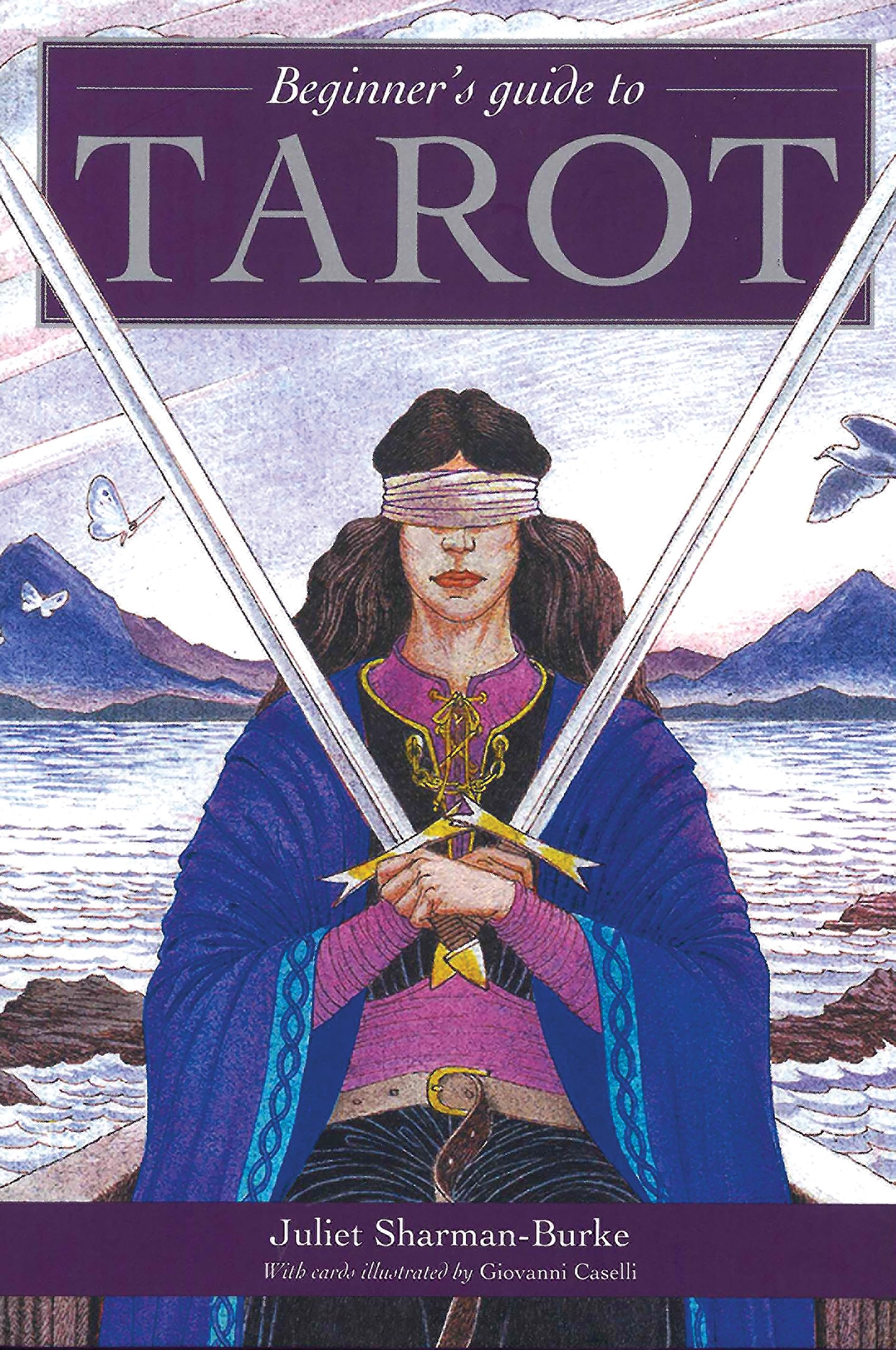 Beginner's Guide to Tarot,New