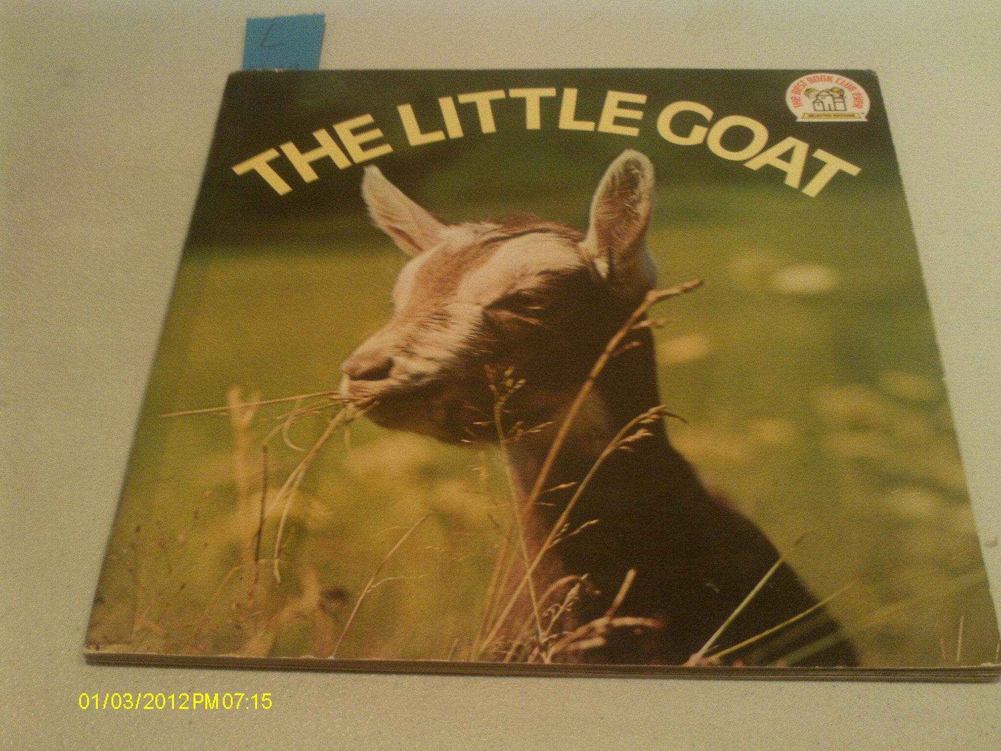 The Little Goat,Used