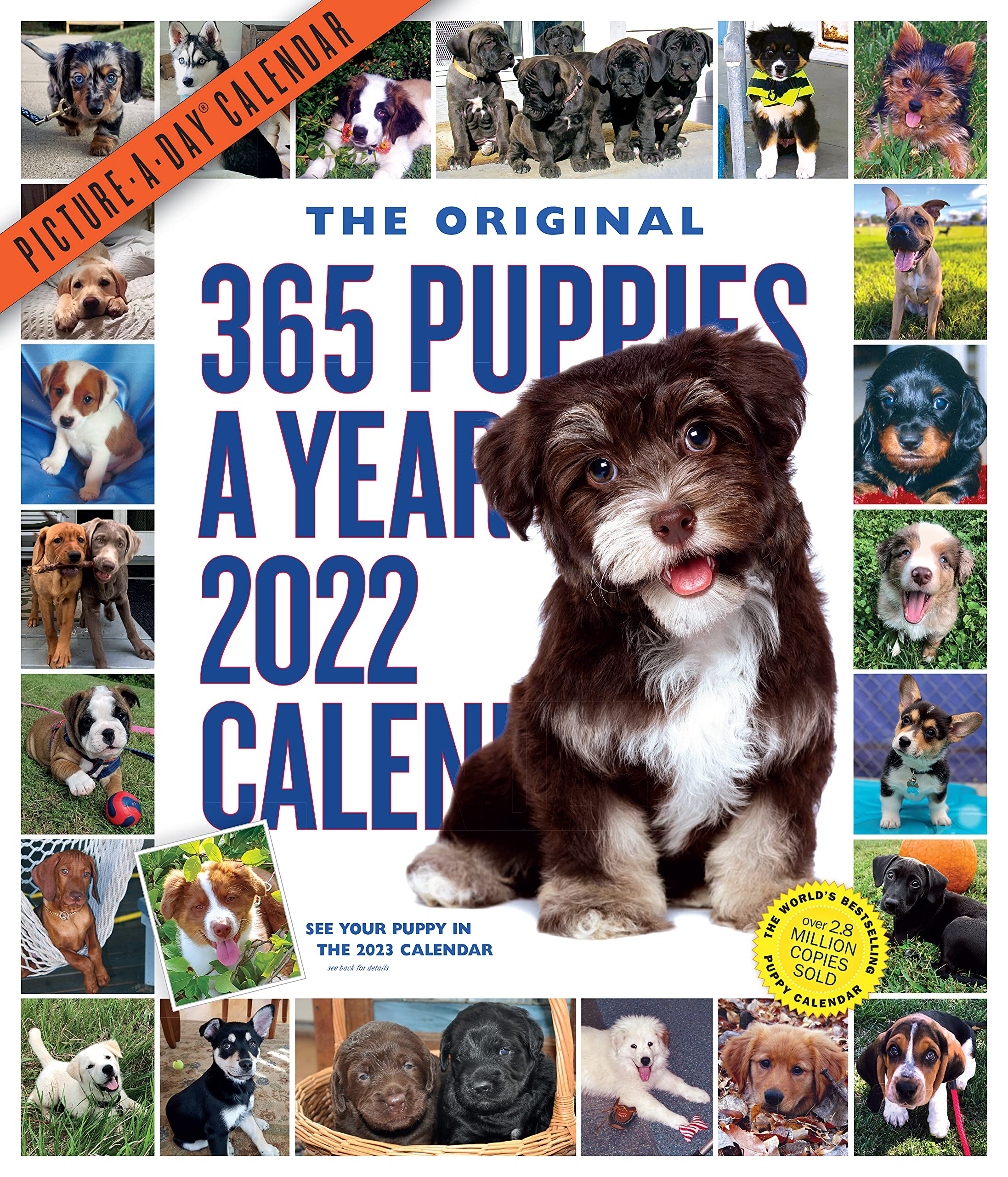 365 PuppiesAYear PictureADay Wall Calendar 2022: The Most Adorable, Irresistible Puppies.,Used