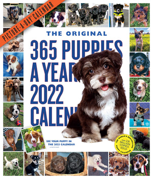 365 PuppiesAYear PictureADay Wall Calendar 2022: The Most Adorable, Irresistible Puppies.,Used