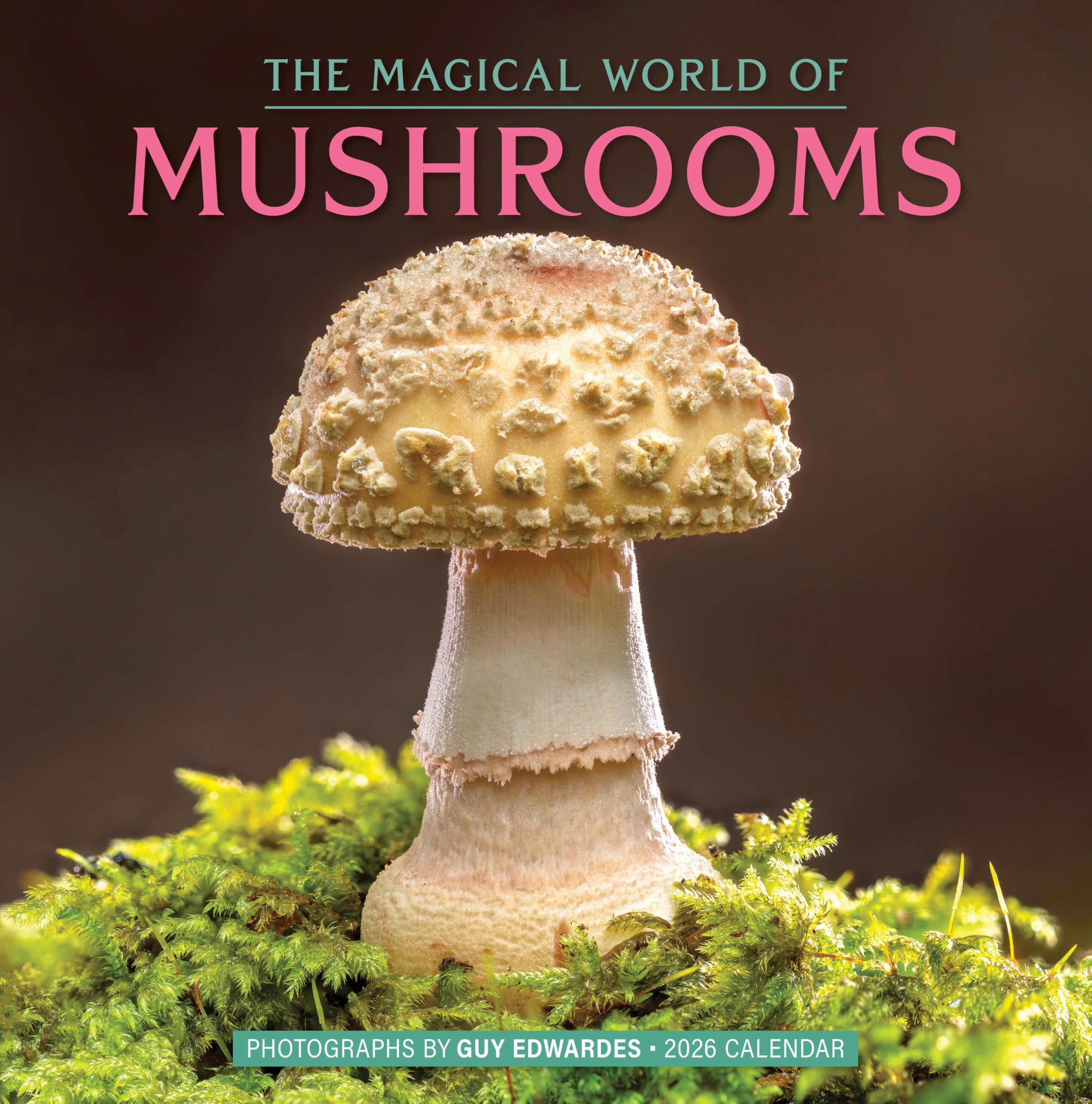 Cal 26 Magical World Of Mushrooms