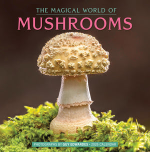 Cal 26 Magical World Of Mushrooms