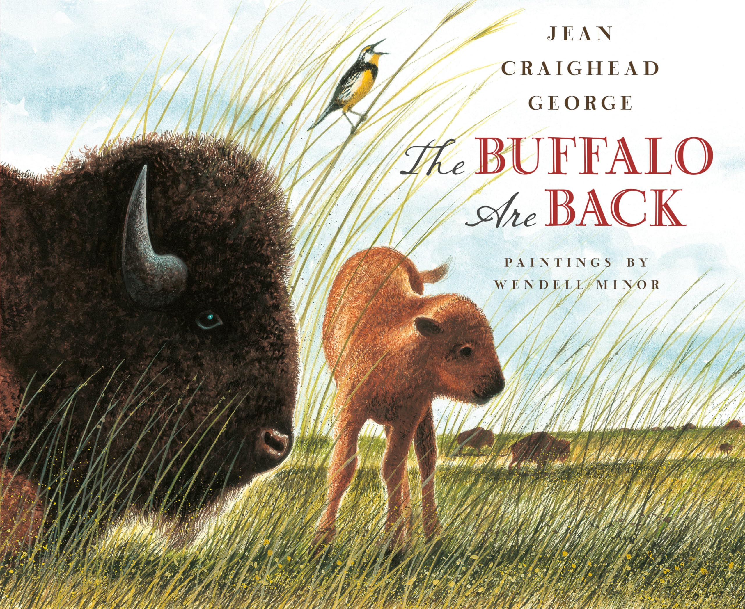 The Buffalo Are Back,New
