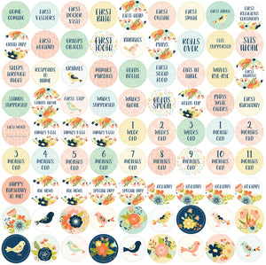 My Life as a Baby: A FirstYear Calendar (Birds),Used