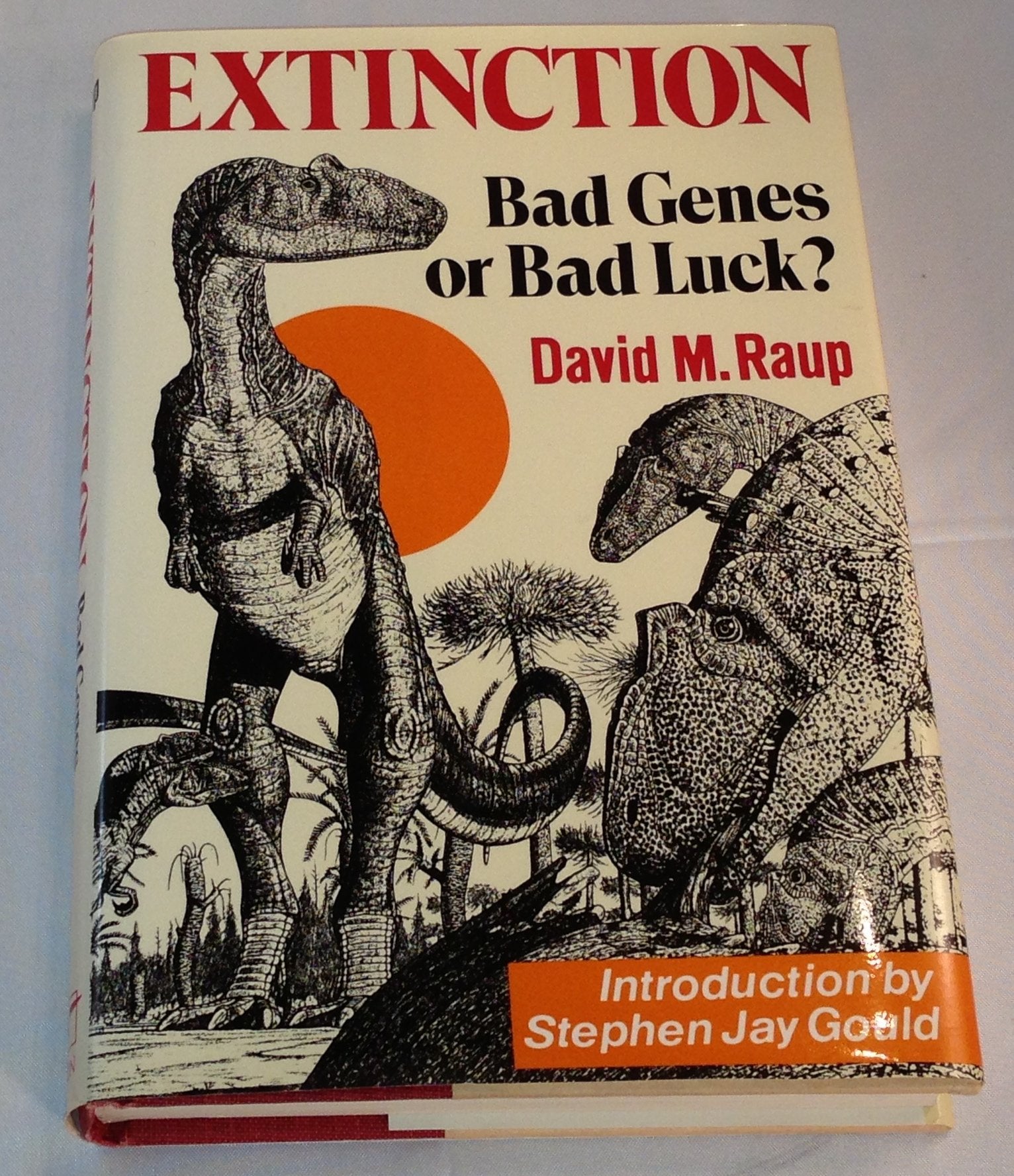 Extinction: Bad Genes Or Bad Luck?-new