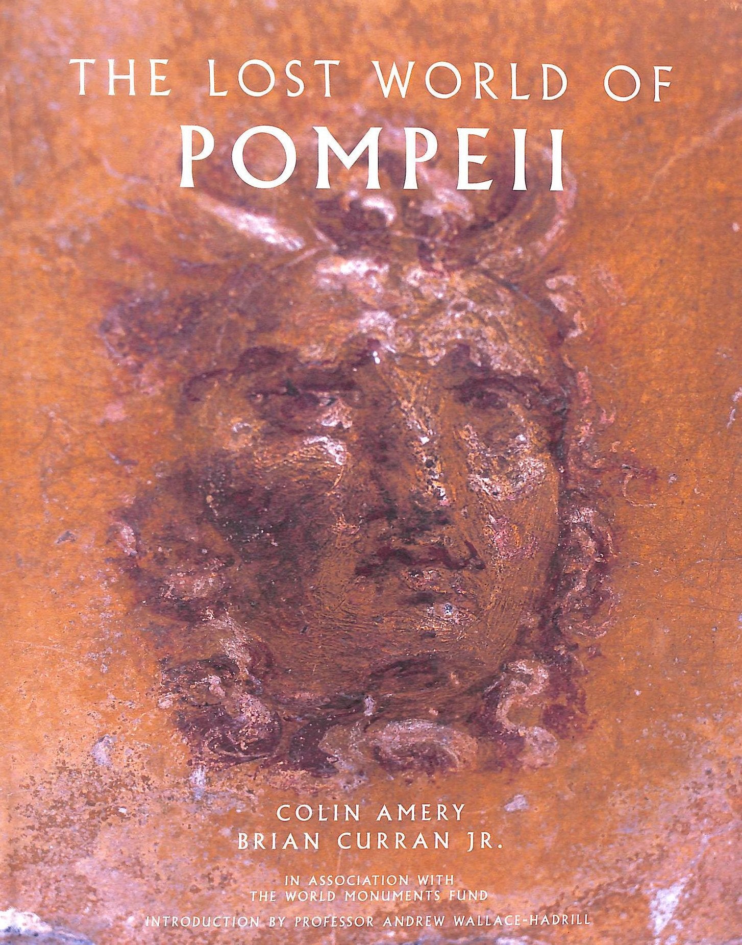 The Lost World of Pompeii,Used