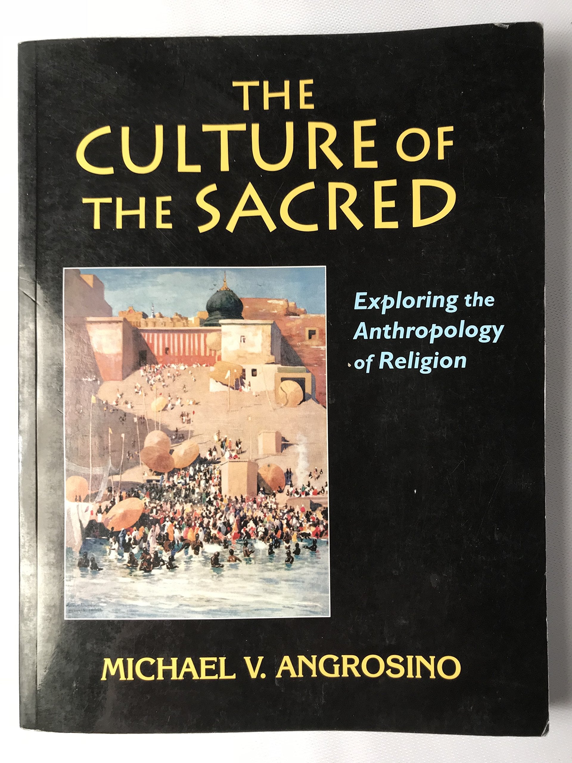 The Culture of the Sacred: Exploring the Anthropology of Religion,Used