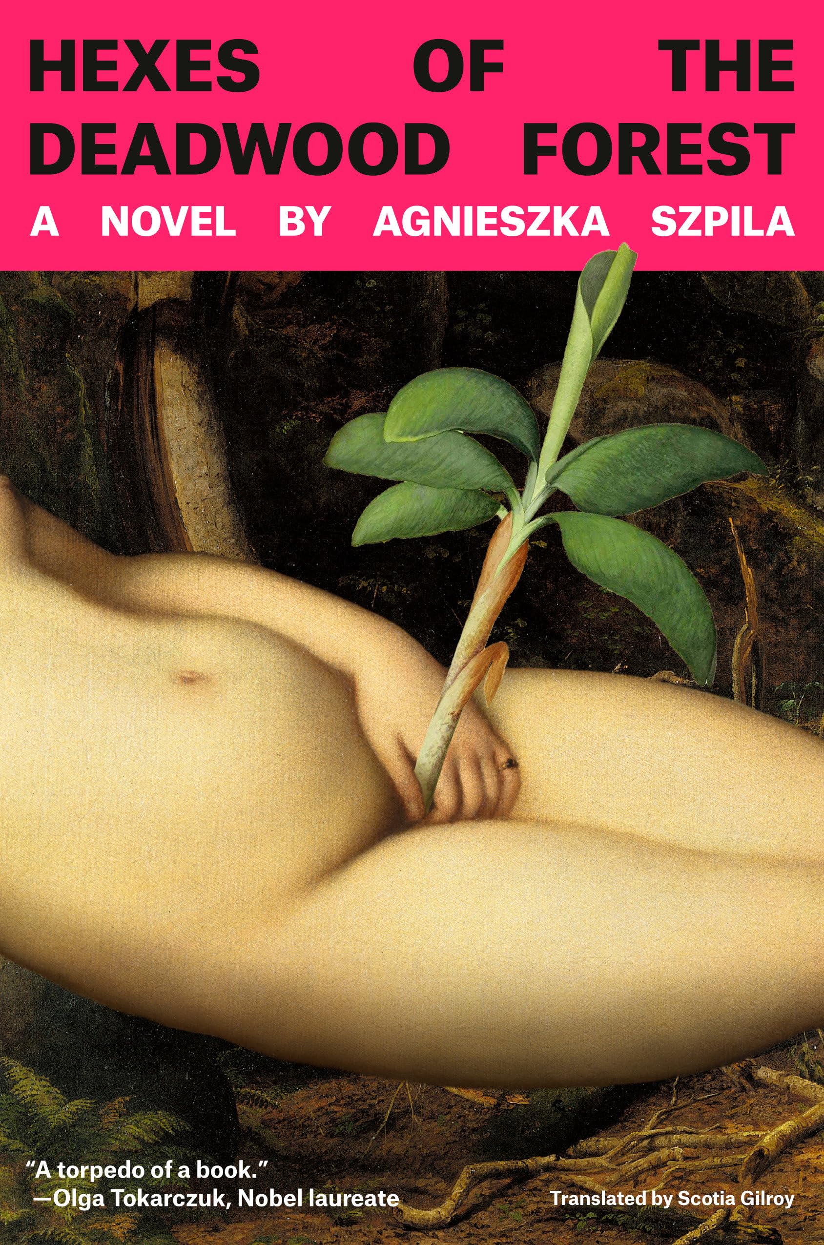 Hexes Of The Deadwood Forest: A Novel