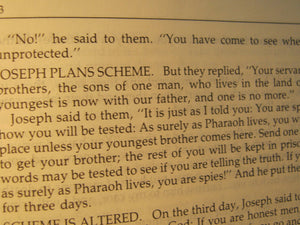 Narrated Bible,Used