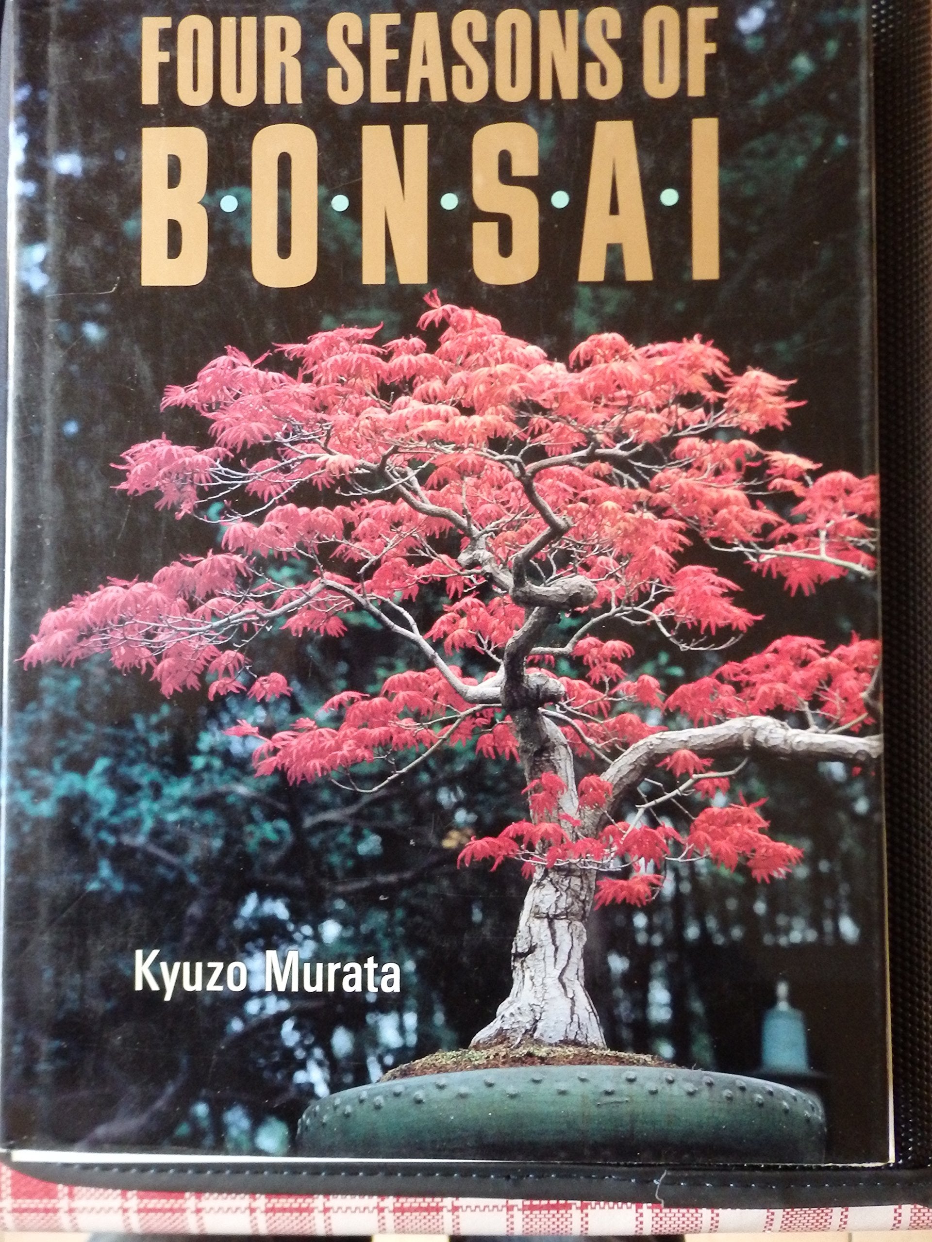 Four Seasons Of Bonsai