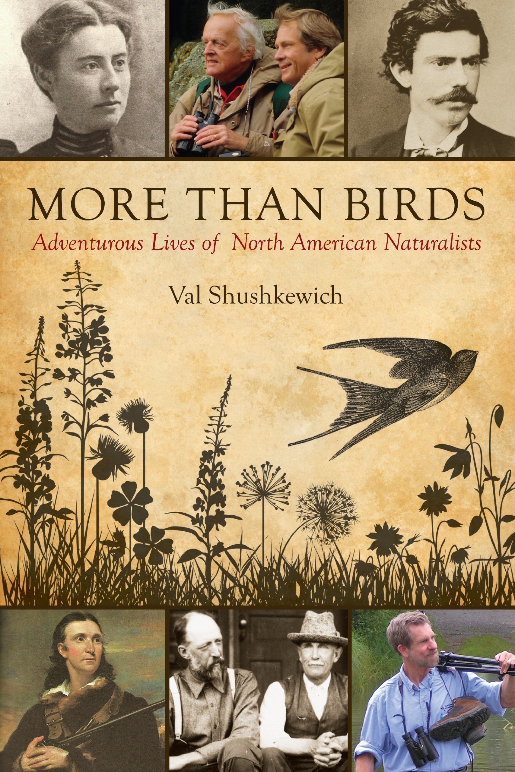 More Than Birds: Adventurous Lives Of North American Naturalists,Used