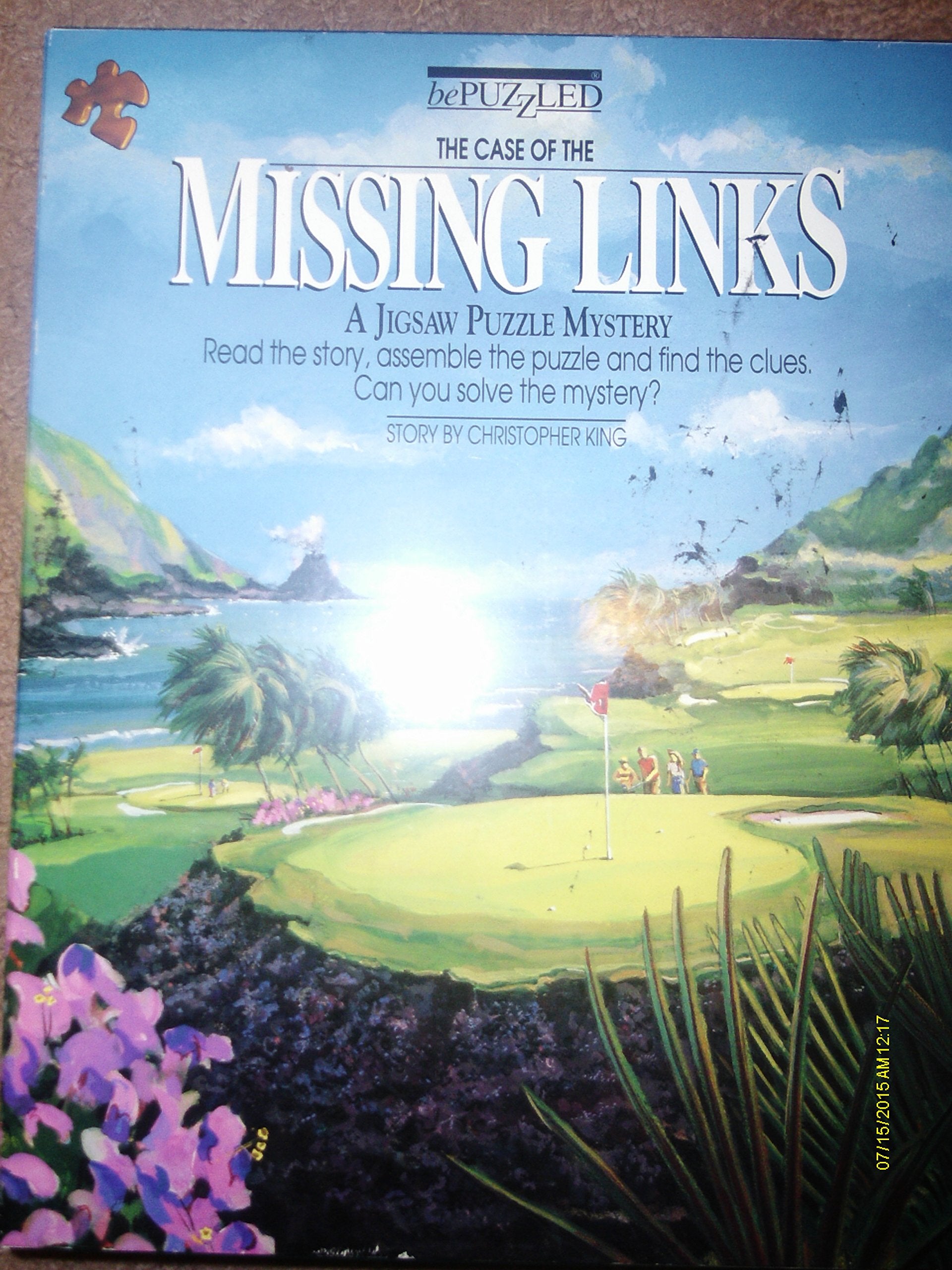 The Case of the Missing Links (Bepuzzled),Used