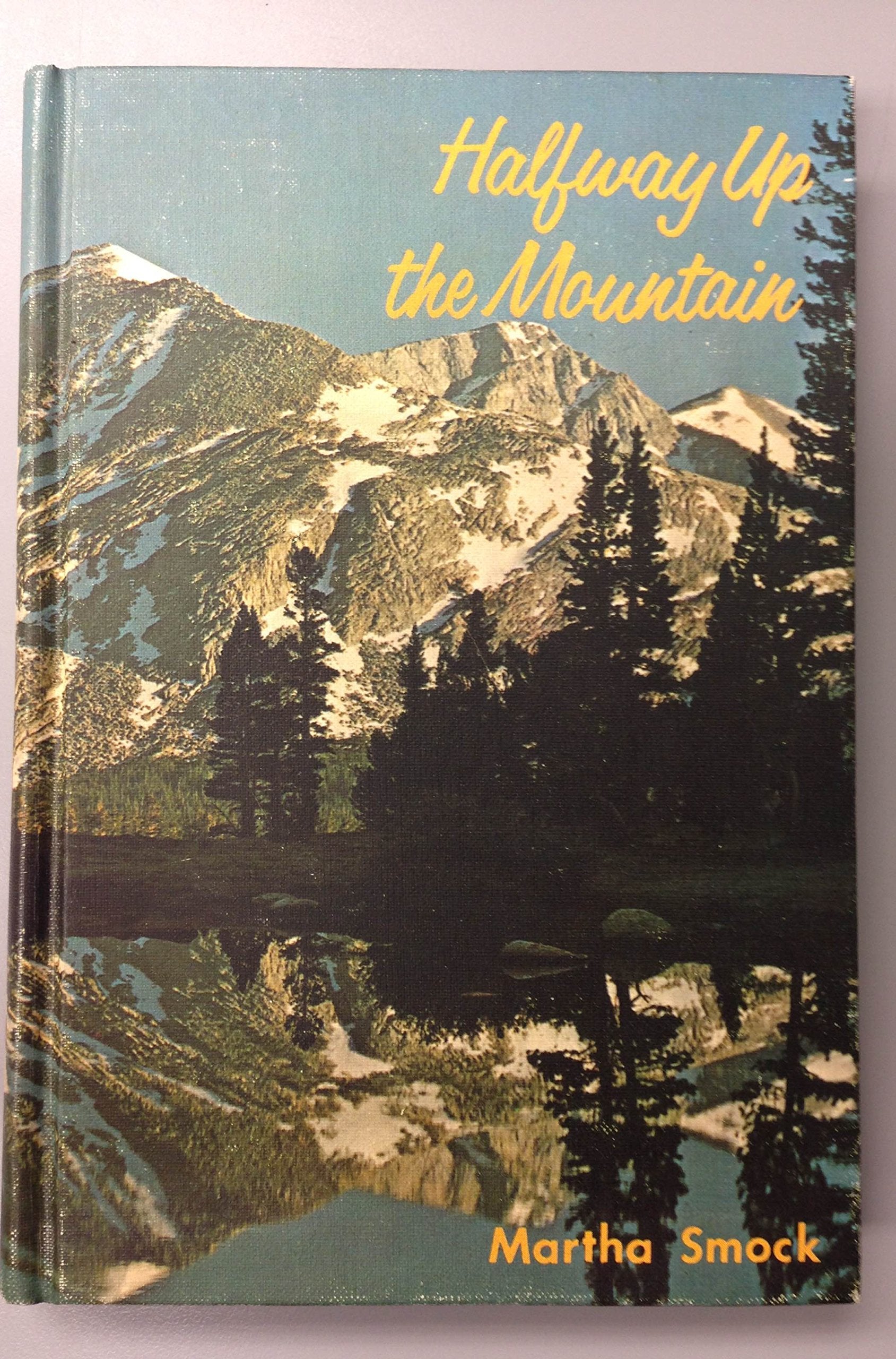 Halfway Up the Mountain,Used