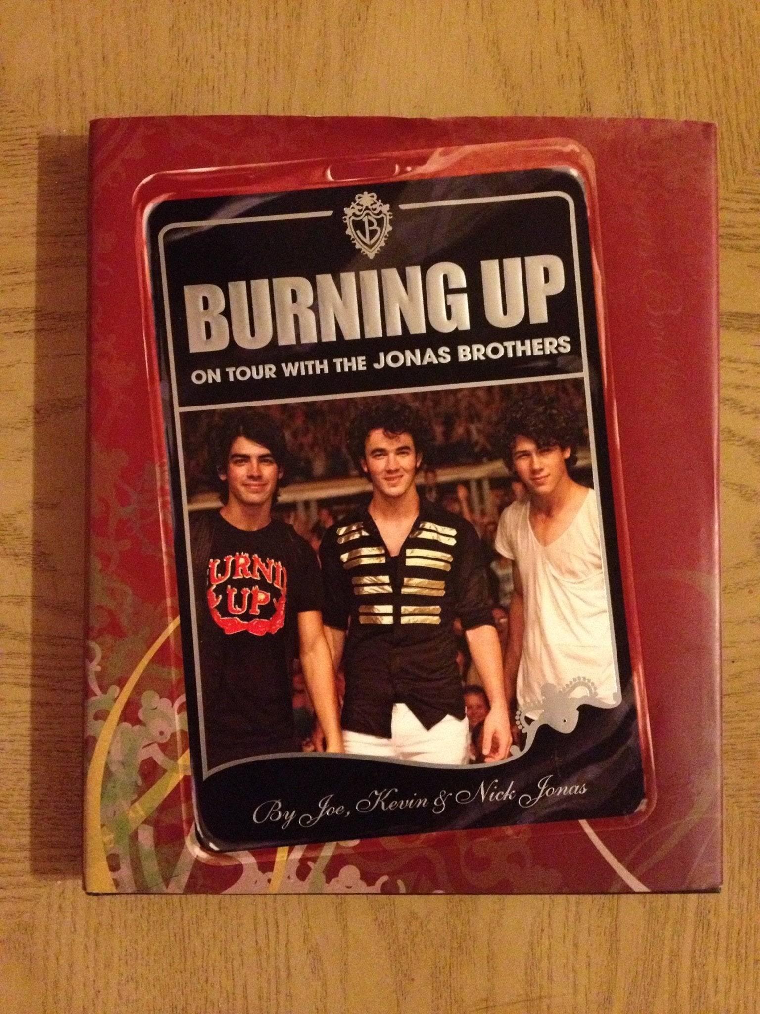 Burning Up: On Tour with the Jonas Brothers,Used
