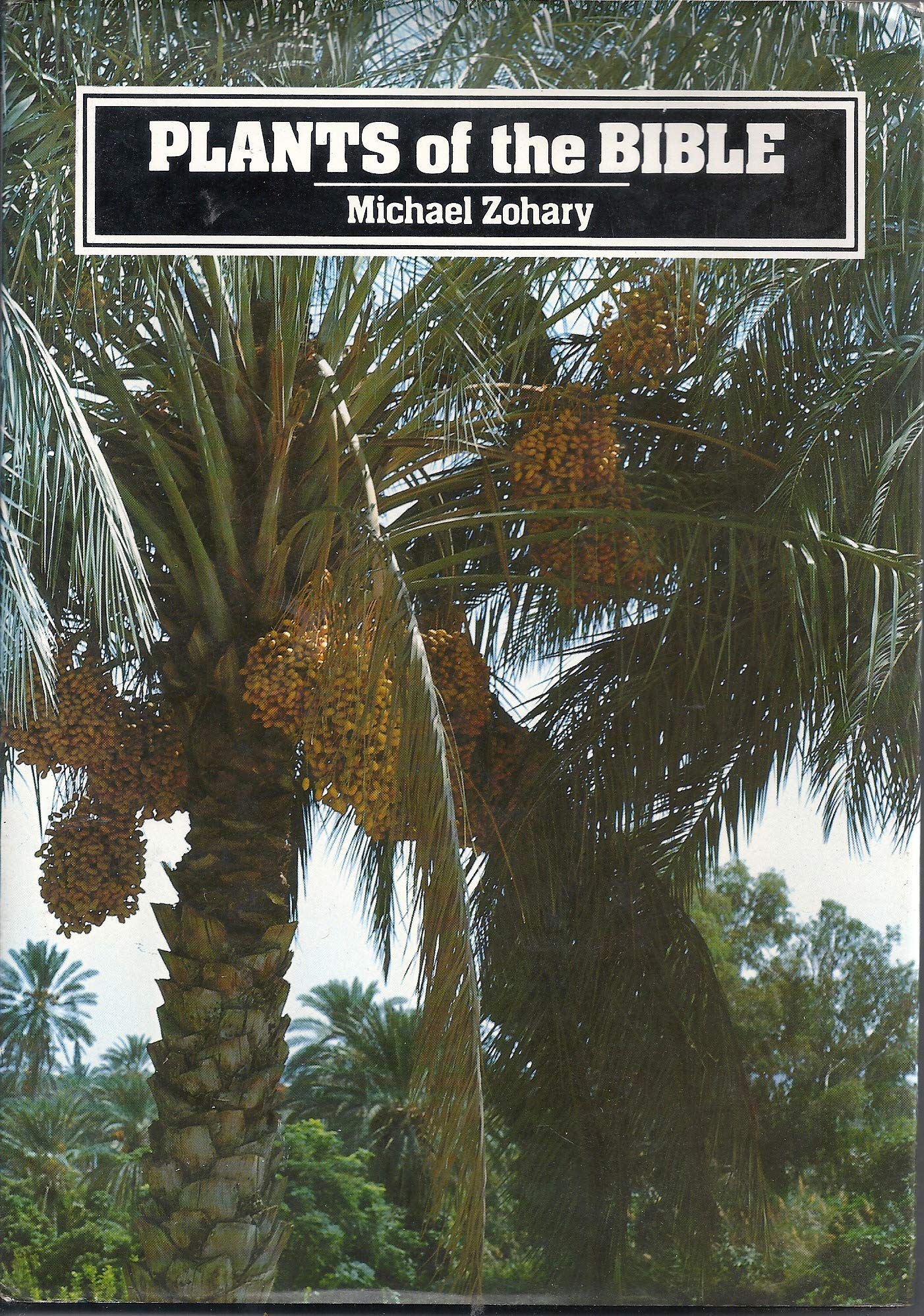 Plants of the Bible,New