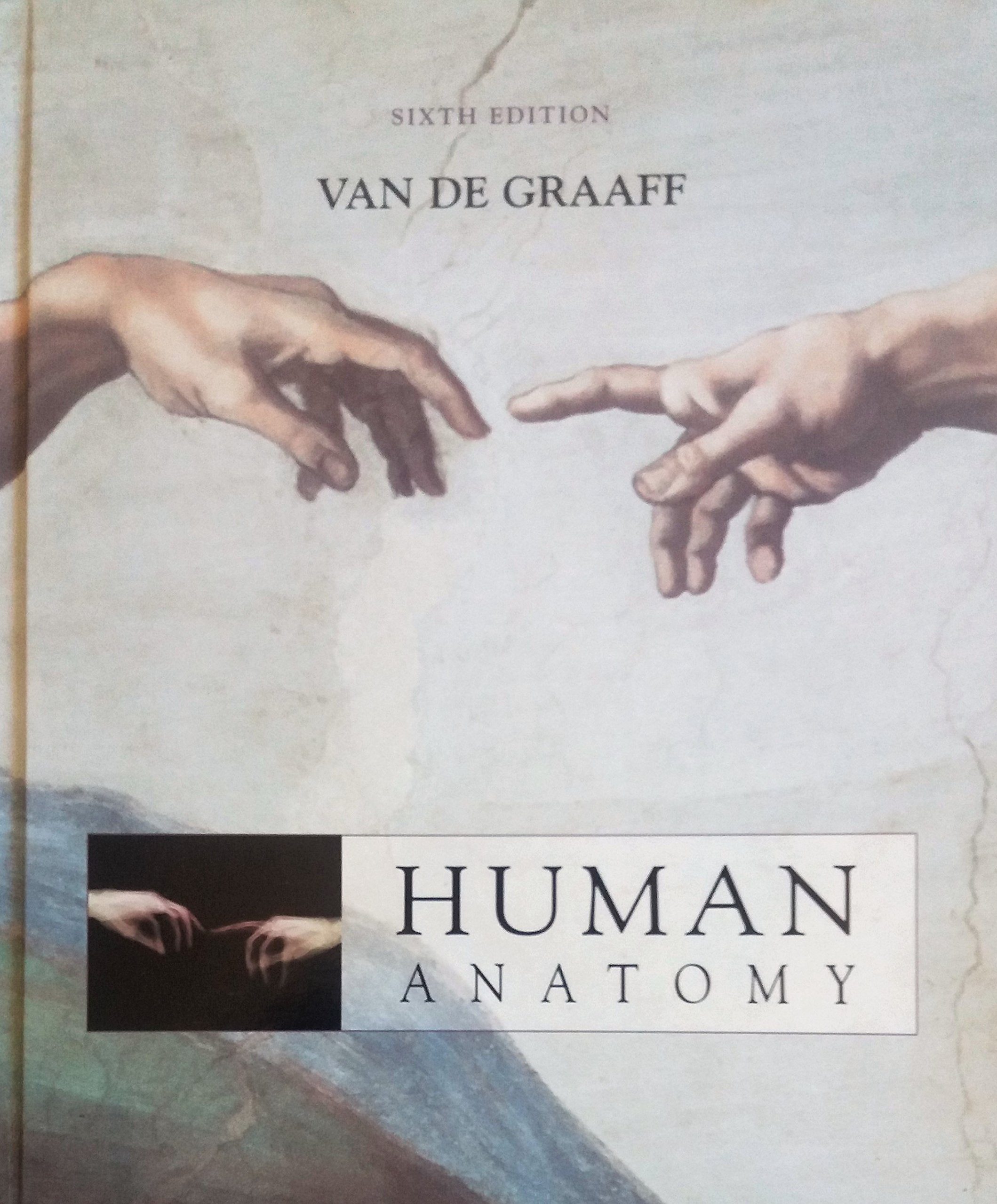 Human Anatomy,New